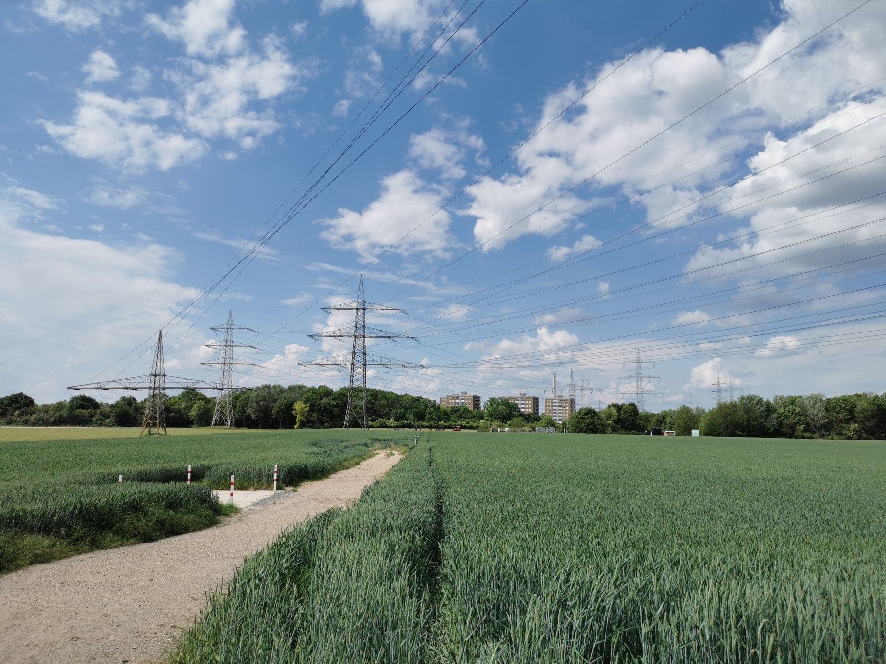 Pfingstweide 
