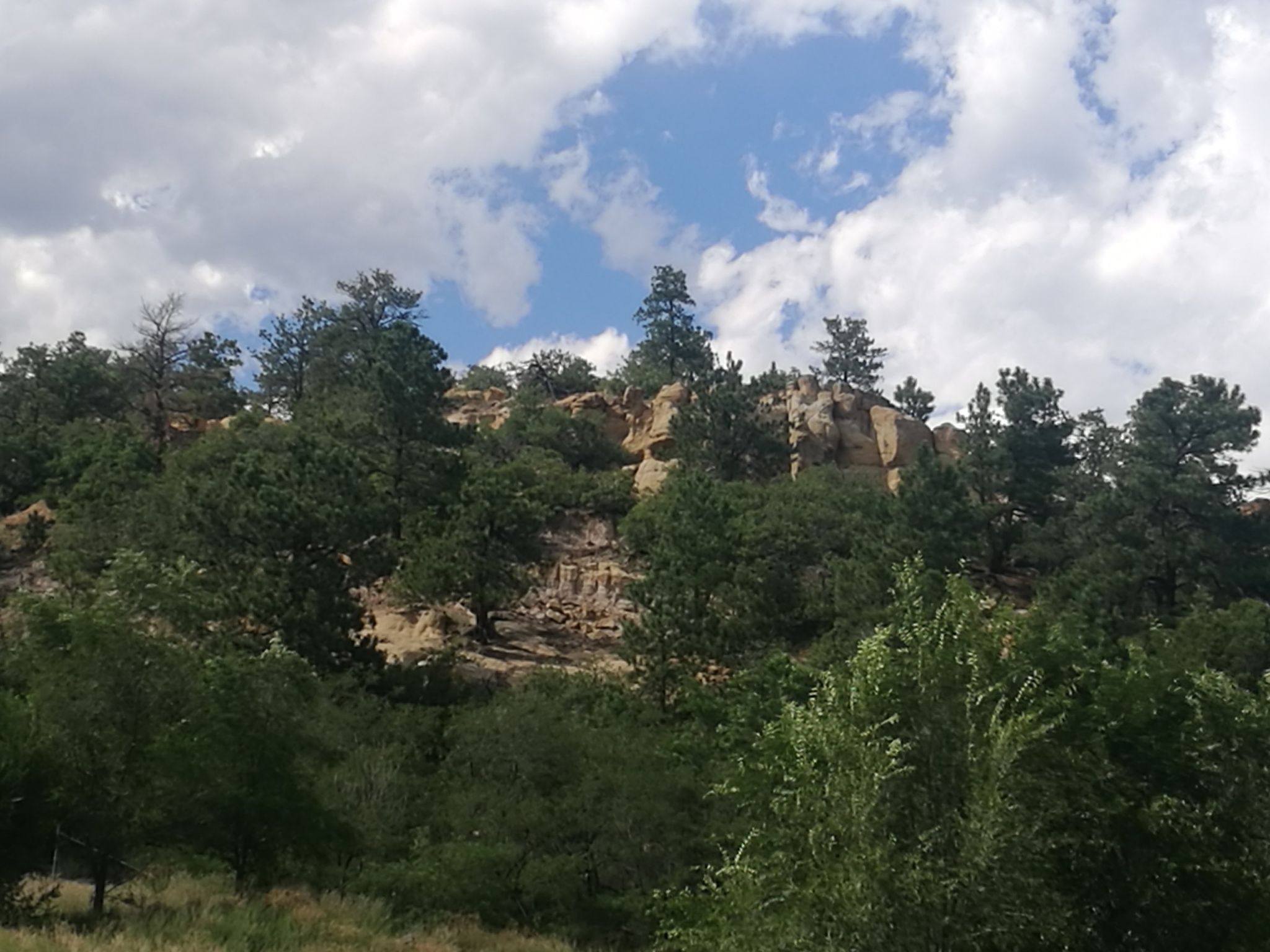 Dense green trees and rocky cliffs under a bright, partly cloudy sky. - The Pineries Open Space loop