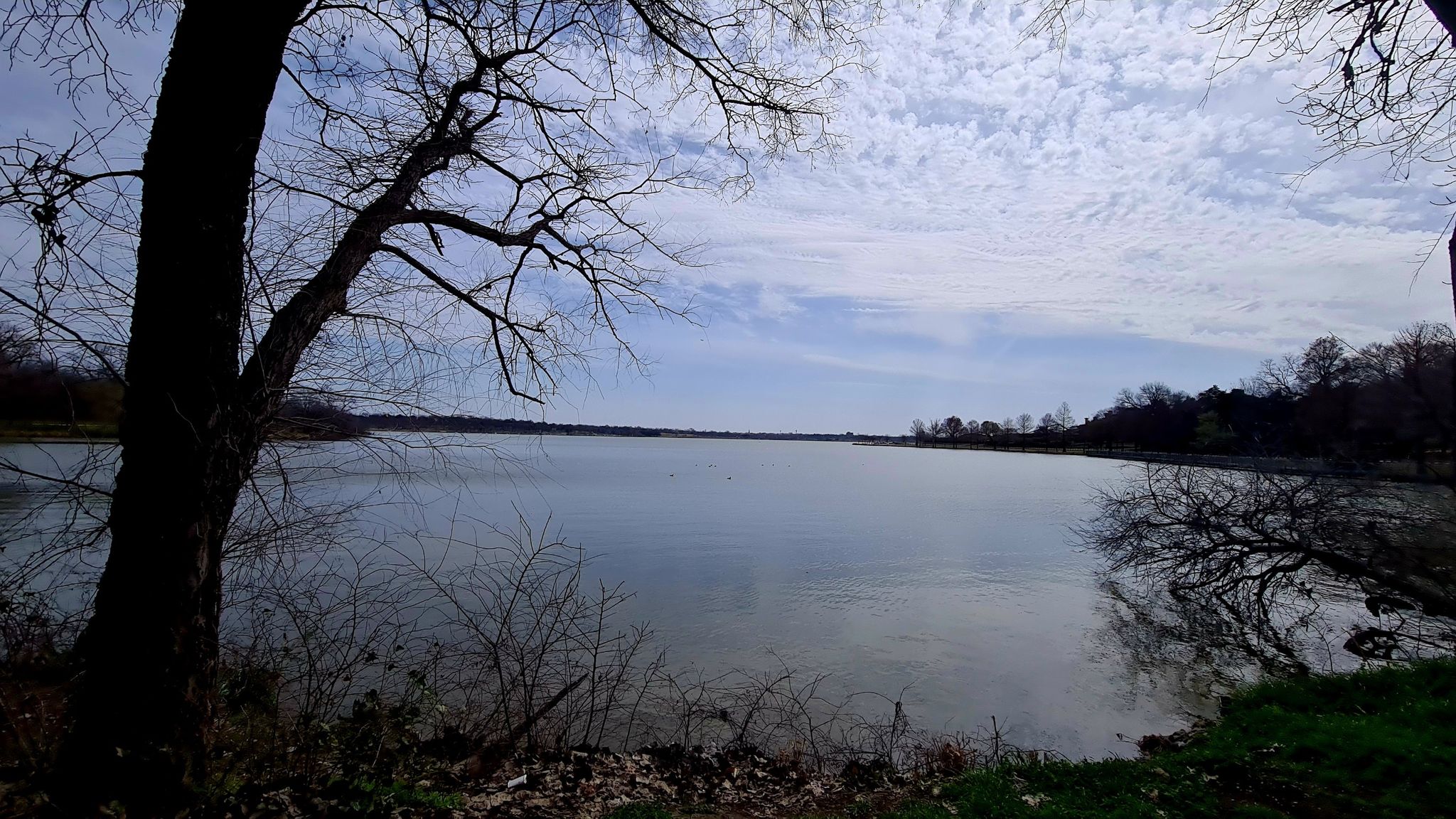 Wide lake view framed by bare trees under a cloudy sky. - Running loop from White Rock