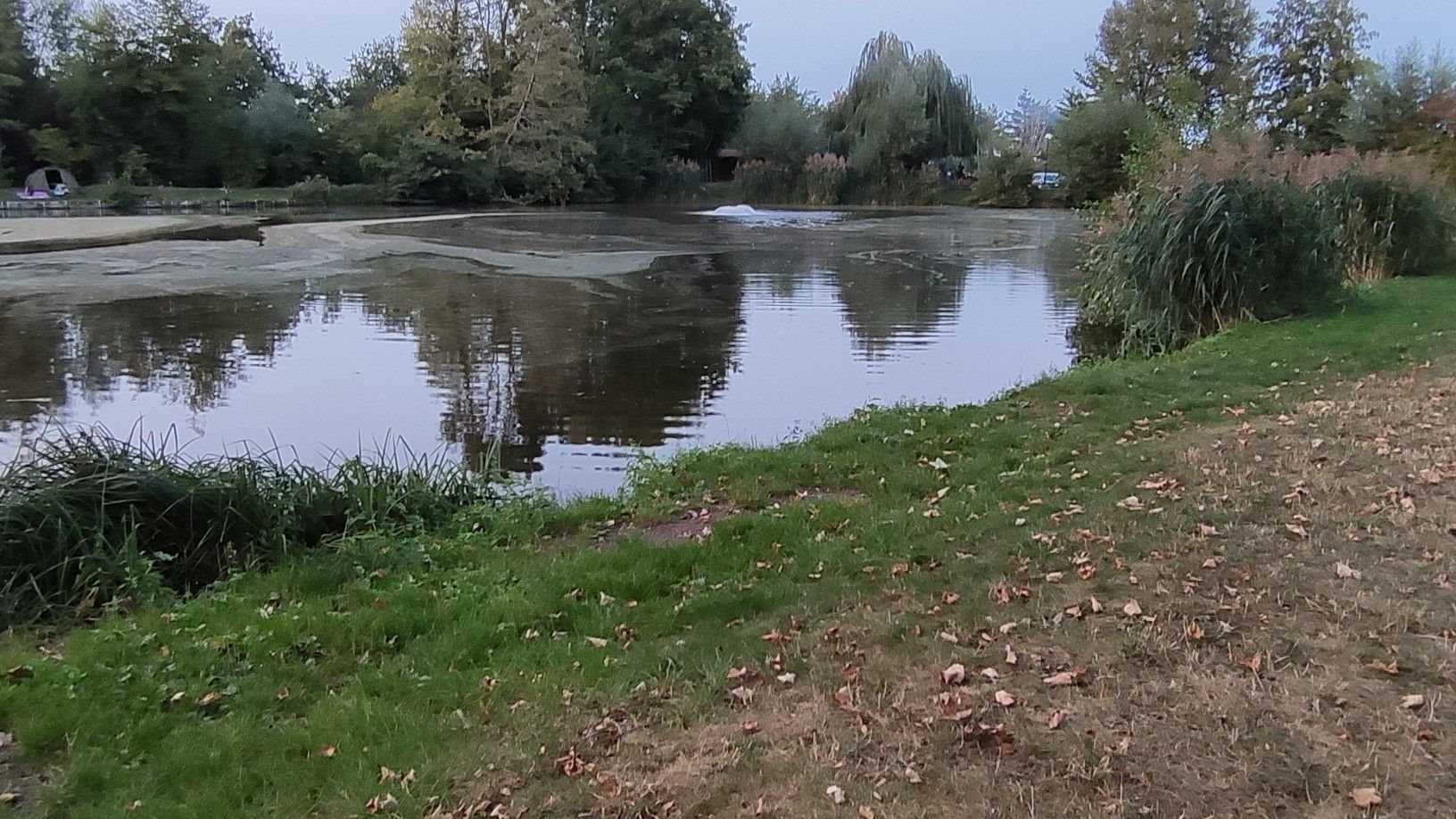 Herxheimer Angelweiher