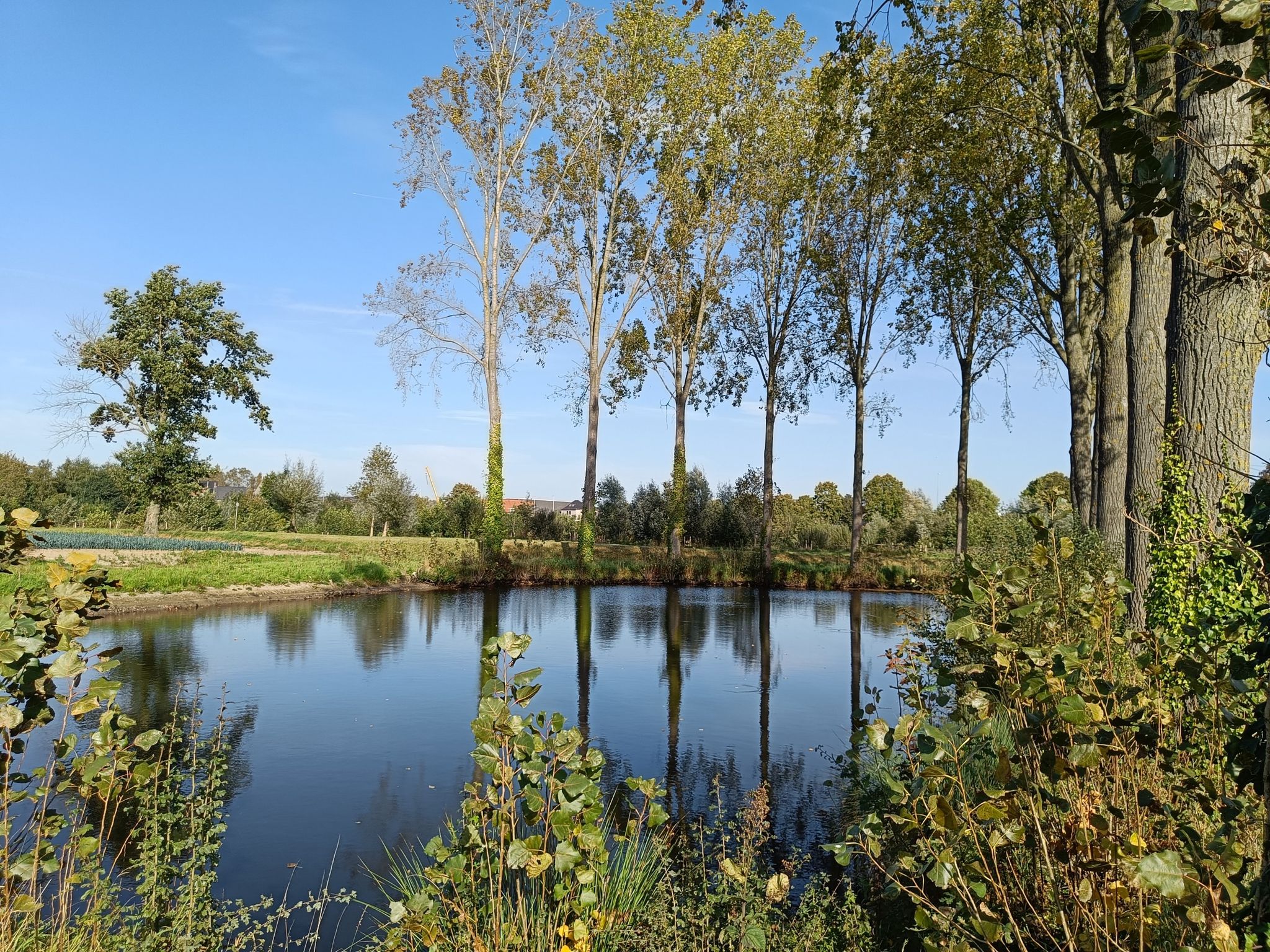 Meulebeke