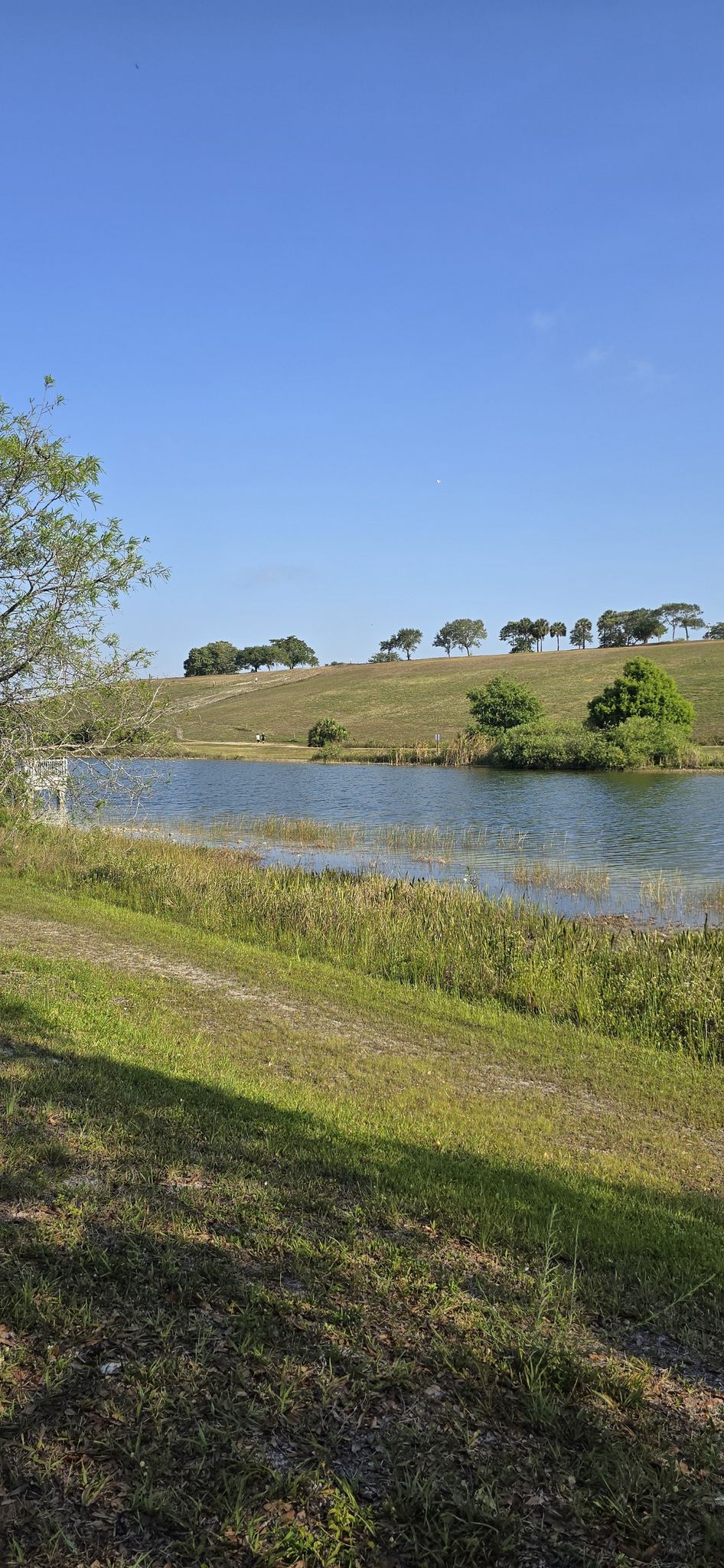Vista View Park / Weston