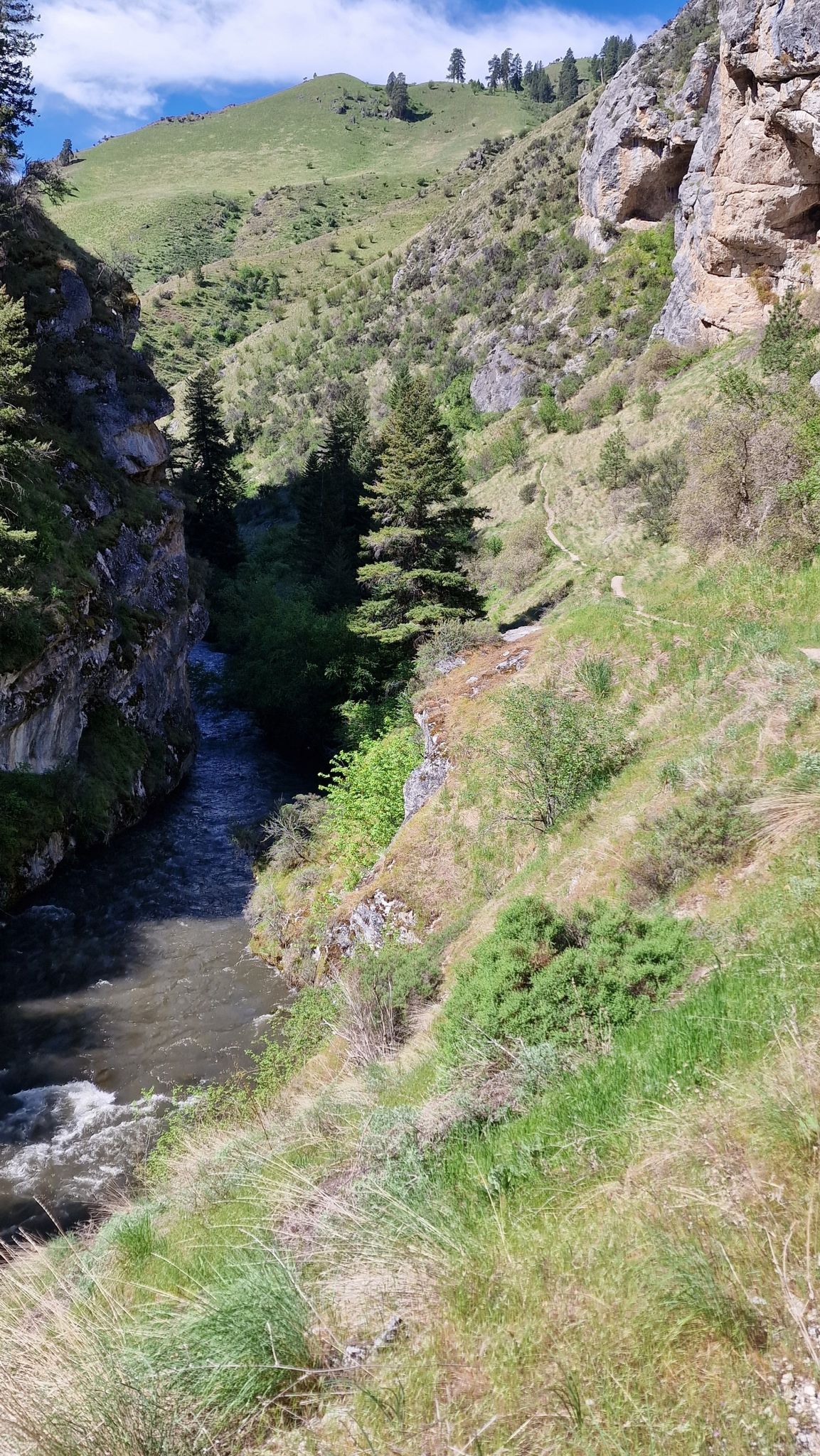 River flowing through a narrow, rocky canyon on a sunny day. - Sampson Spring Trail