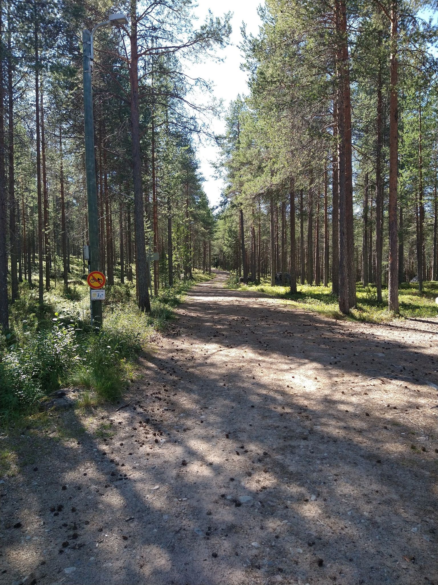ausgebauter Weg