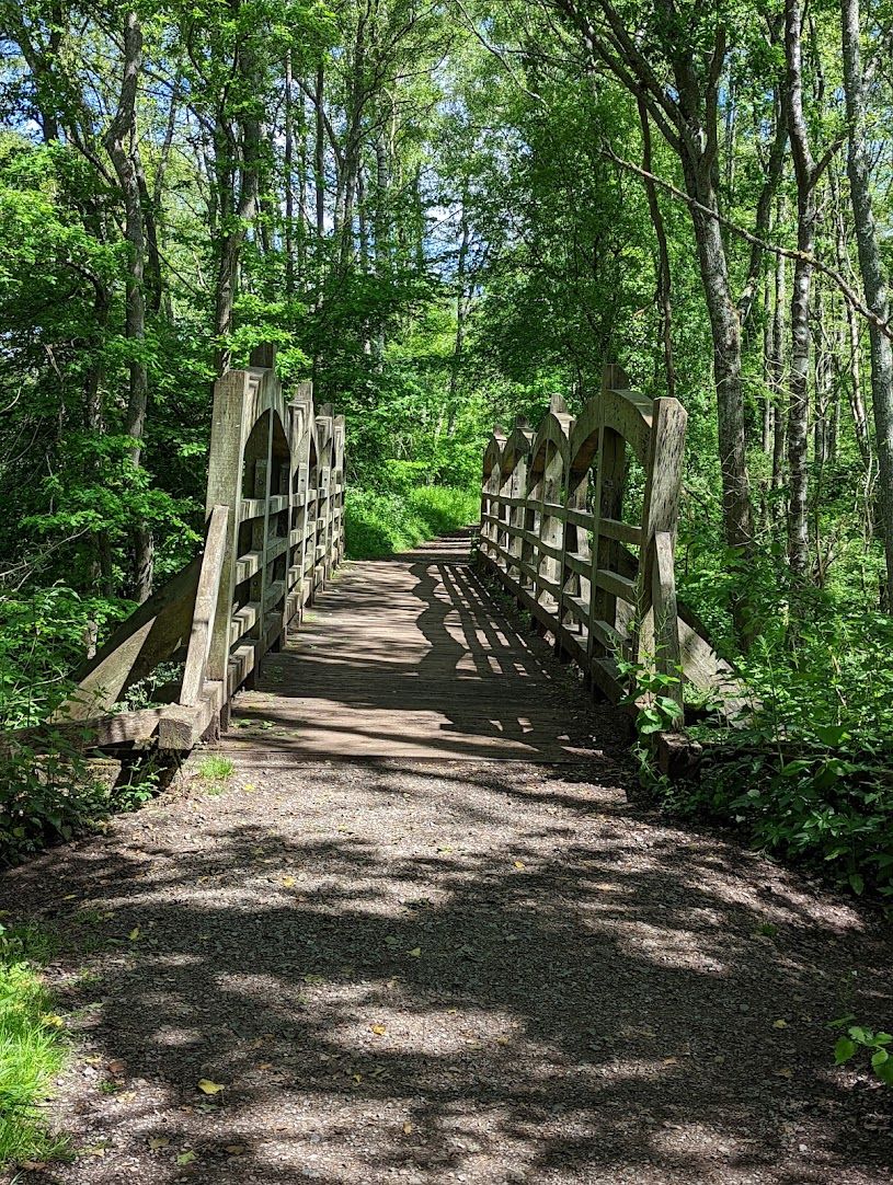 Bridge on Riverside Walk north of Liss