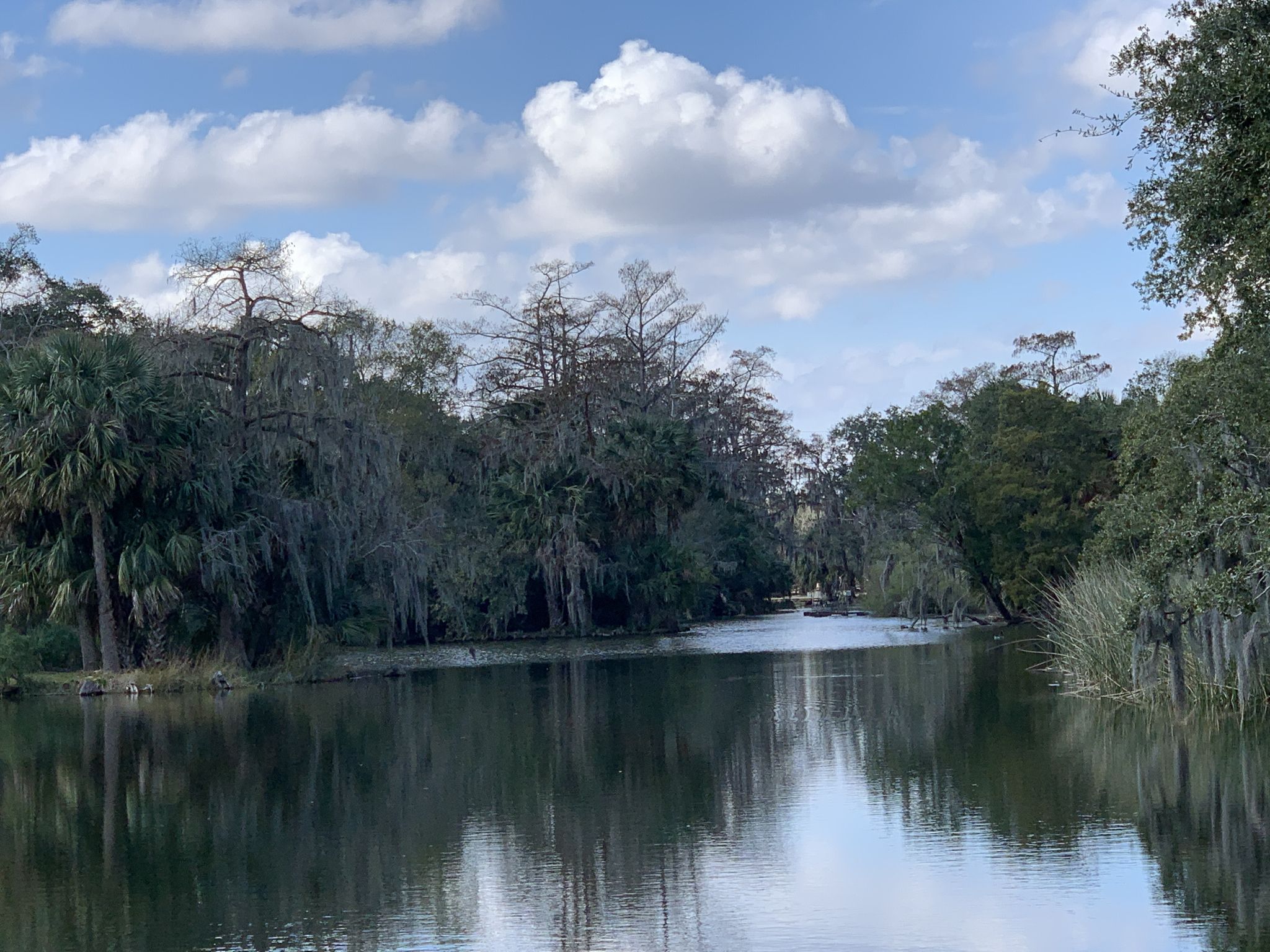 City Park