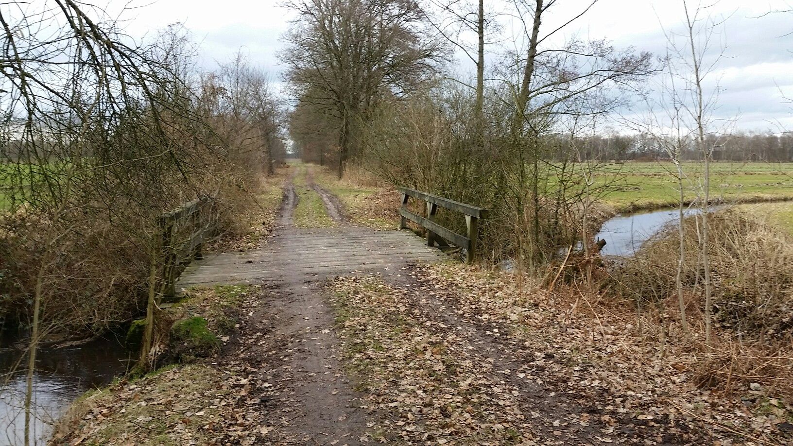 Fintaubrücke bei Vahlde
