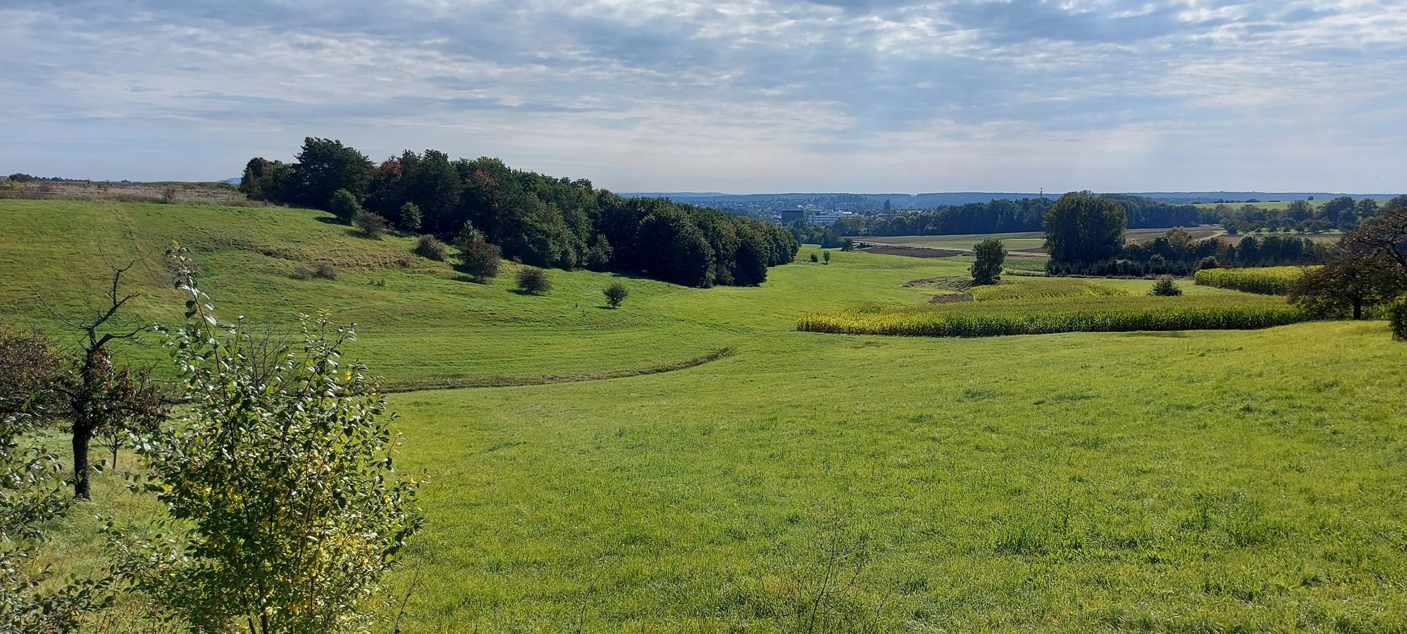 Blick nach Heroldsberg hinunter