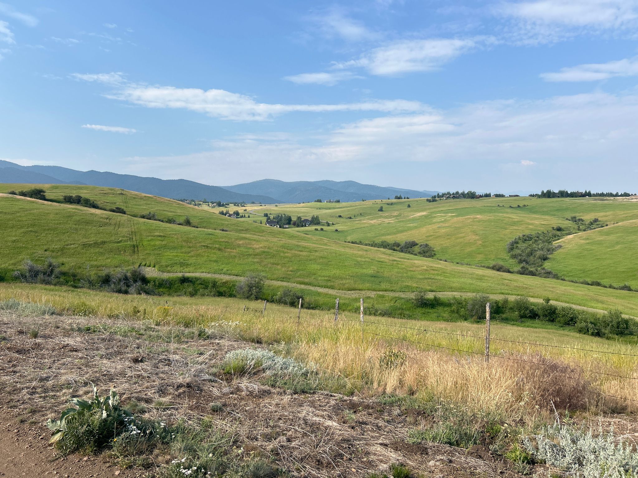 Expansive landscape of rolling green hills under a bright blue sky. - Painted Hills Trail to Triple Tree Trail