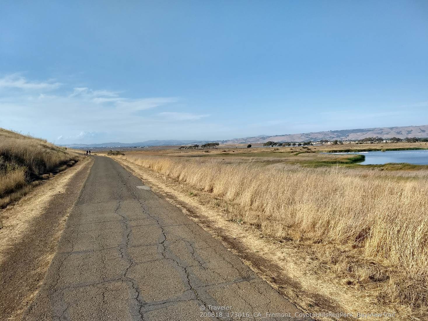 Cracked paved path through dry golden fields, with distant water and hills. - Quail, Red Hill, and Bayview Loop