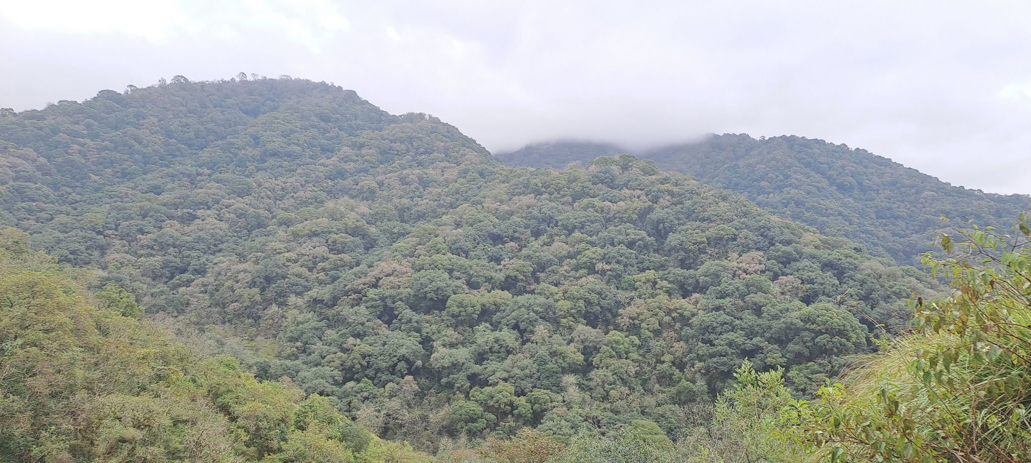 la vista más hermosa