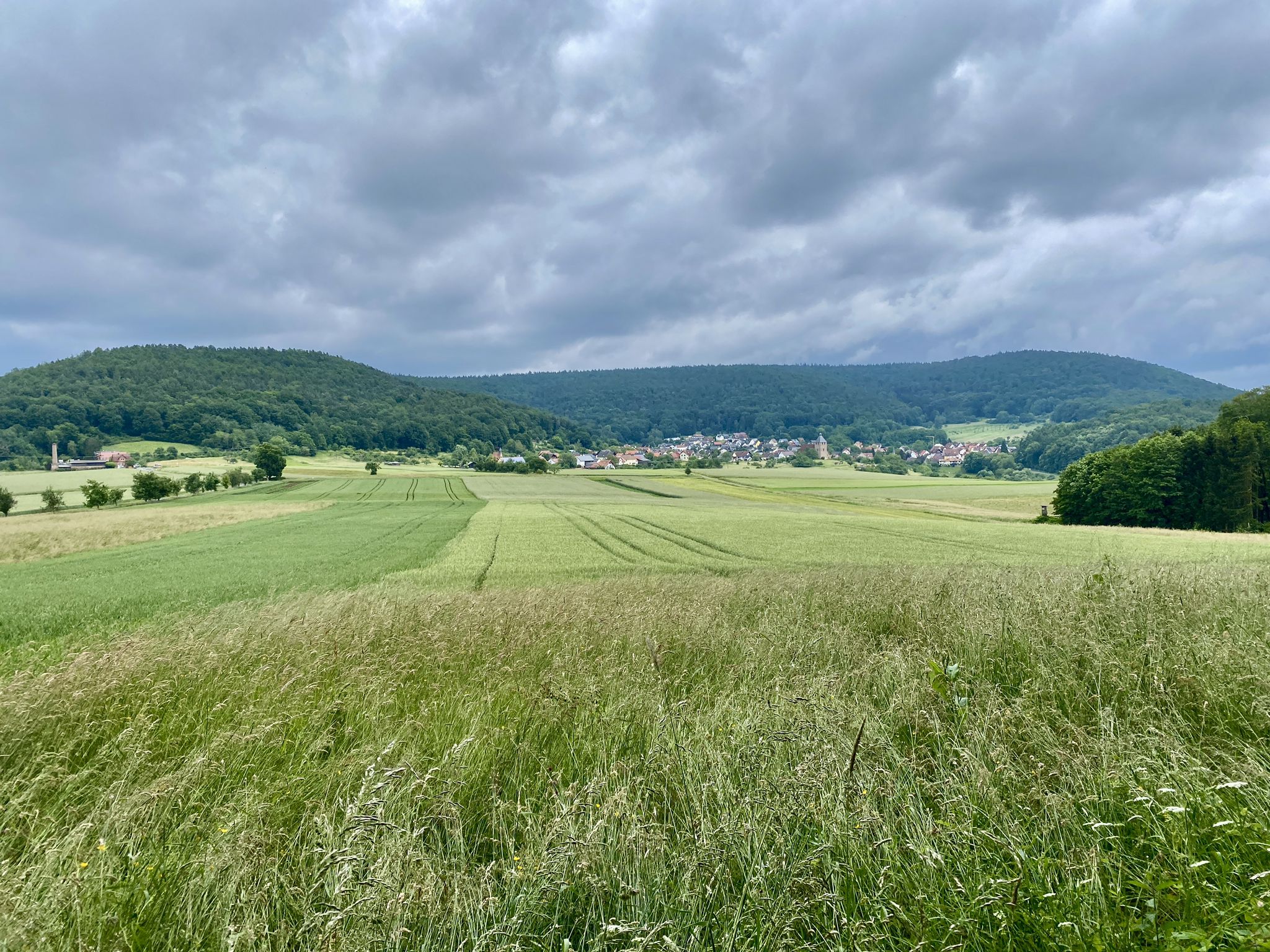 Grün…die bestimmende Farbe rund ums Dorf…herrlich😍