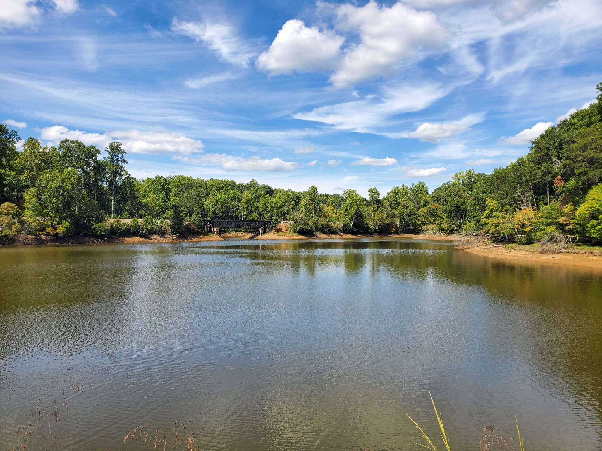 A calm lake surrounded by lush green trees under a bright blue sky. - Salem Lake Trail
