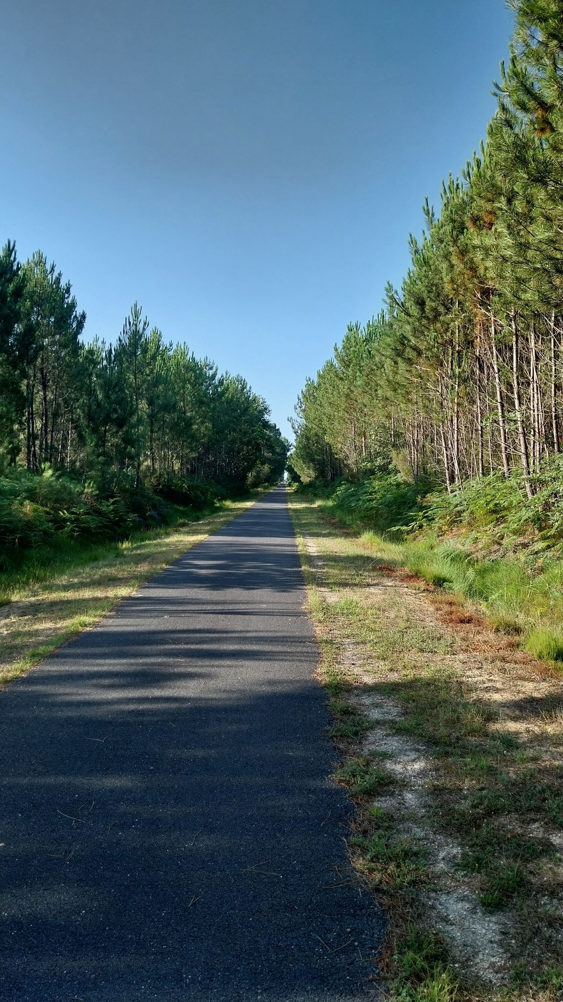 juste pour les vélos😃