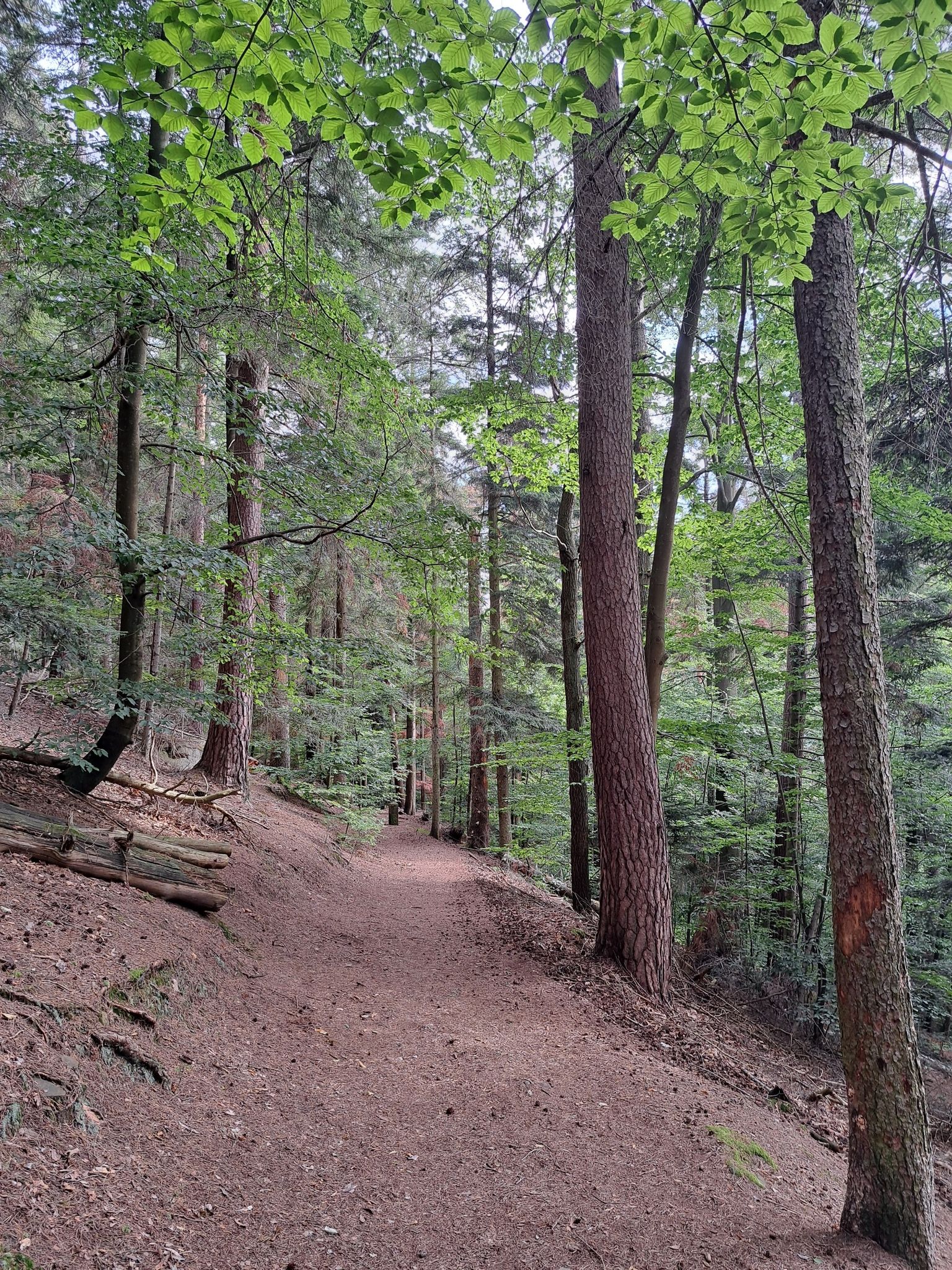 Sehr schöner Trail