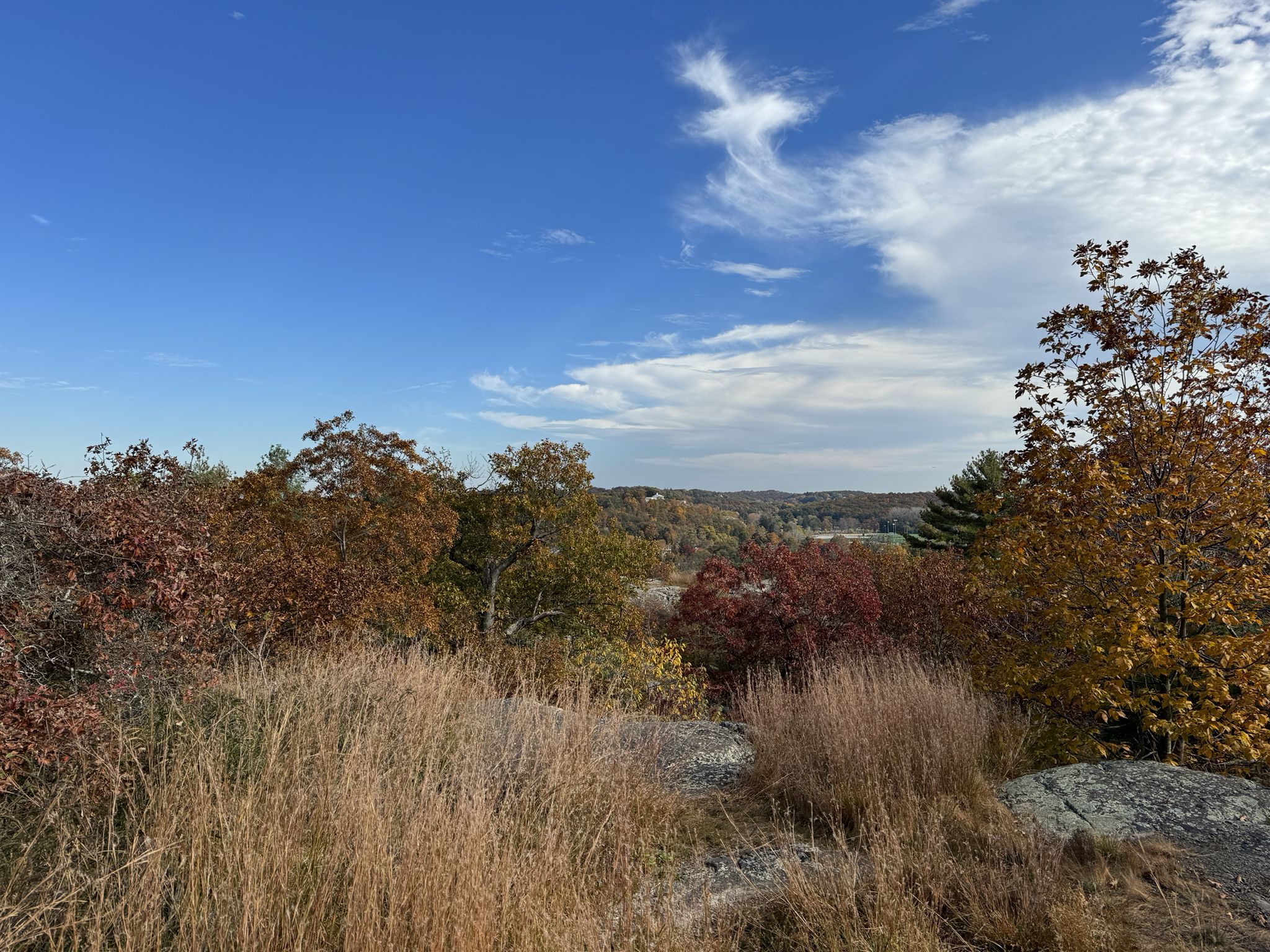 Vibrant autumn trees and dry grass overlook a distant forested landscape under a blue sky. - Rock Circuit Trail