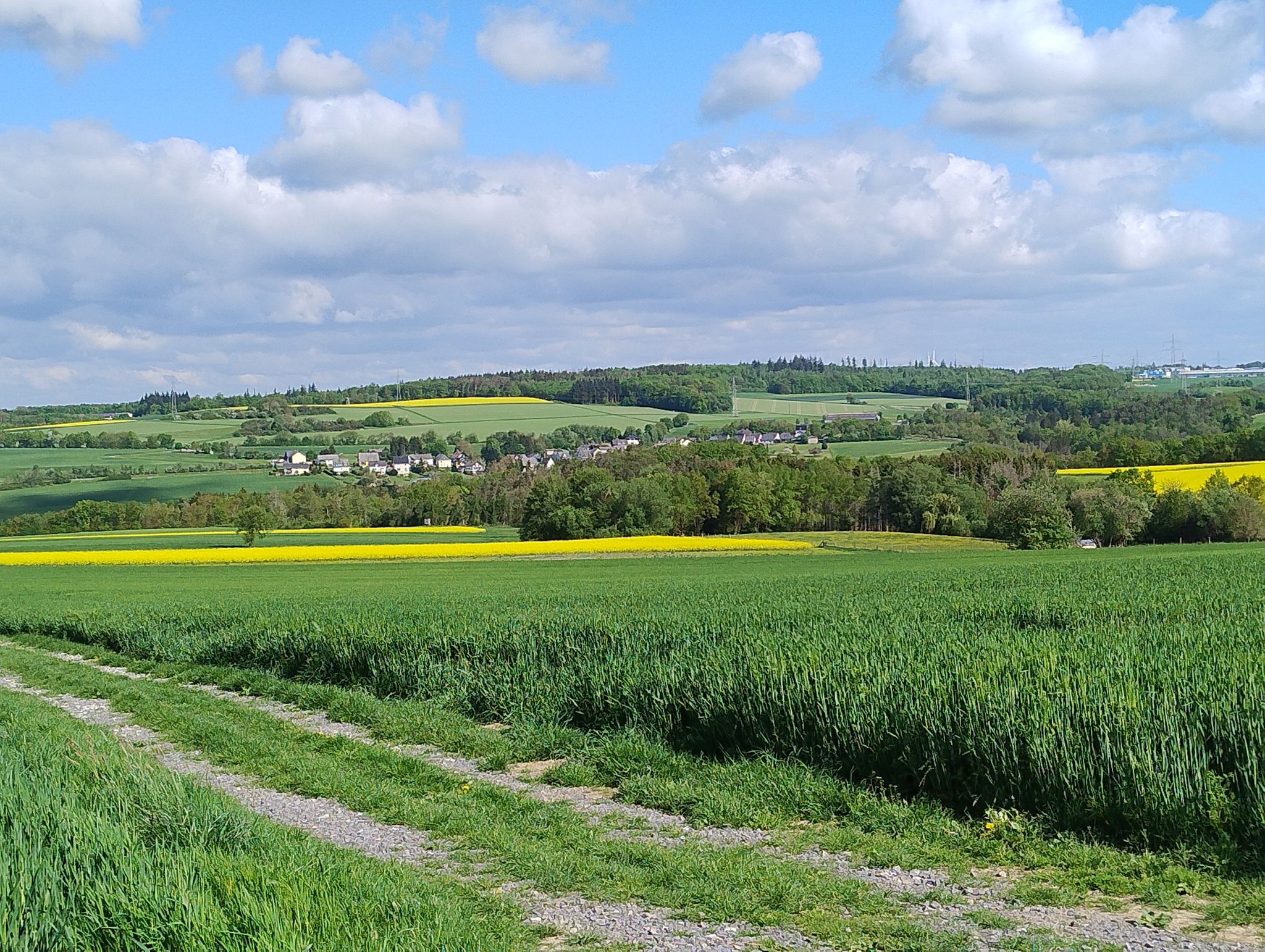 Lamscheid