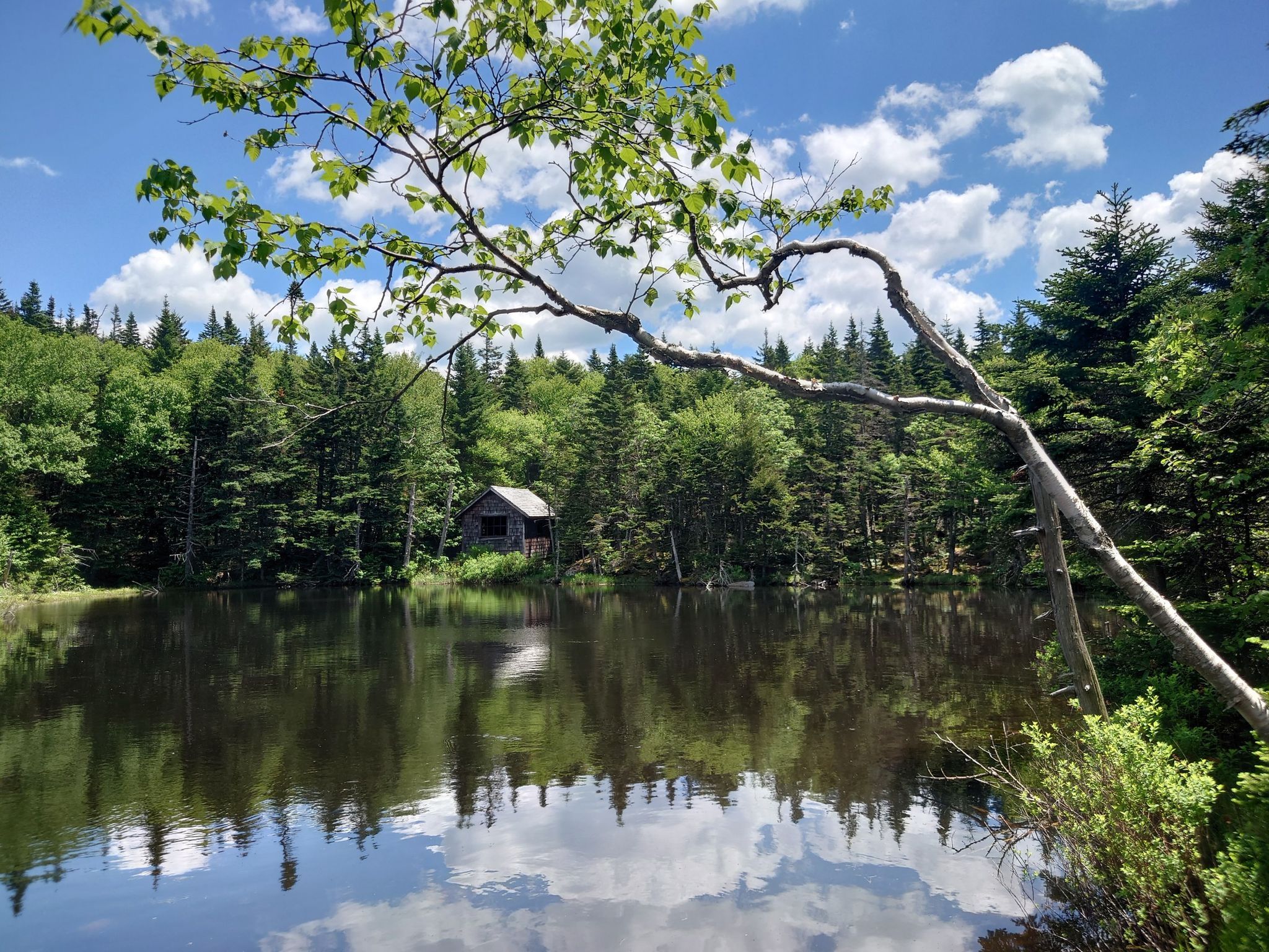 A small cabin by a calm lake, surrounded by green forest under blue sky. - Cheshire Harbor Trail