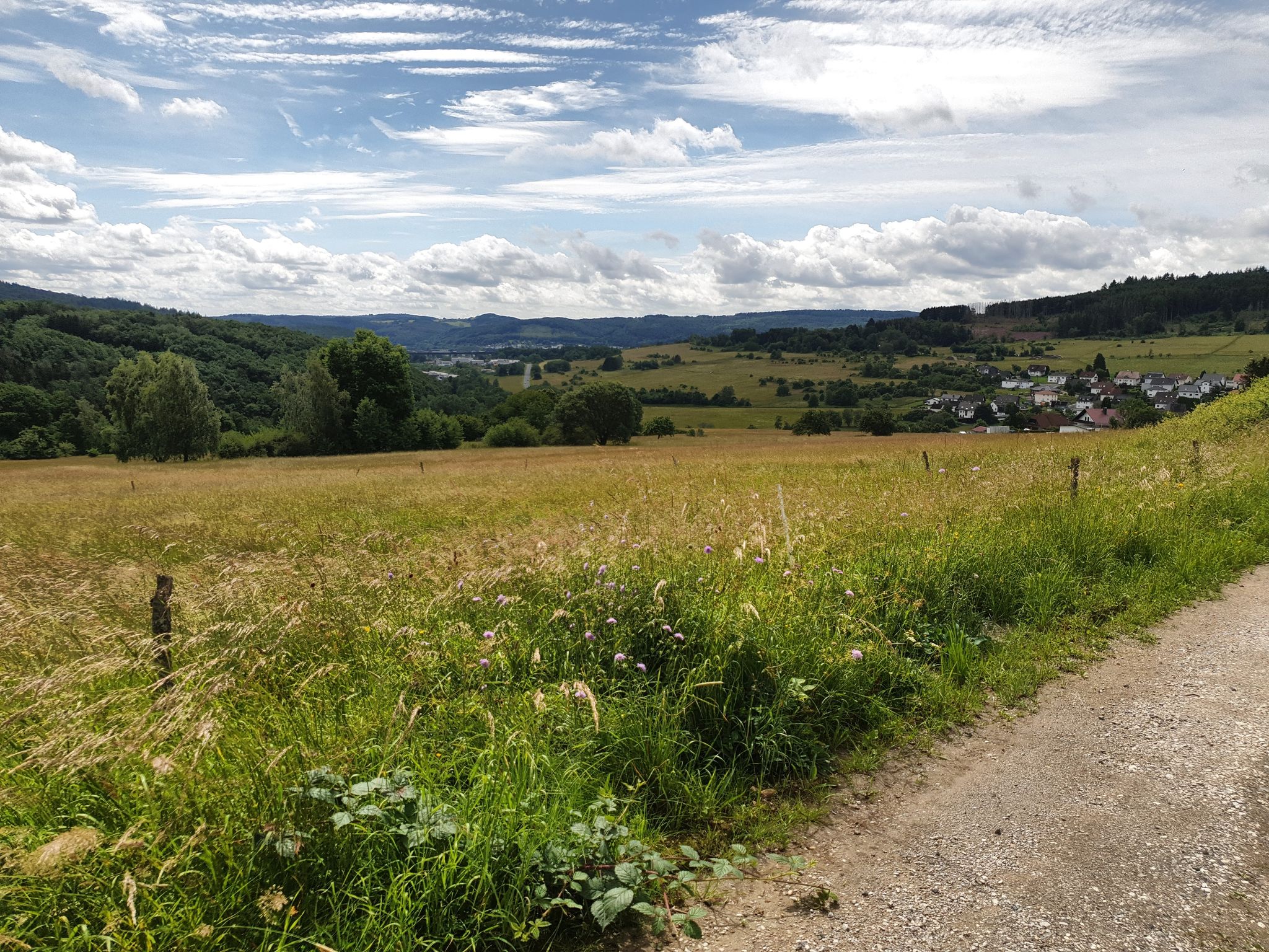 Blick auf Haiger