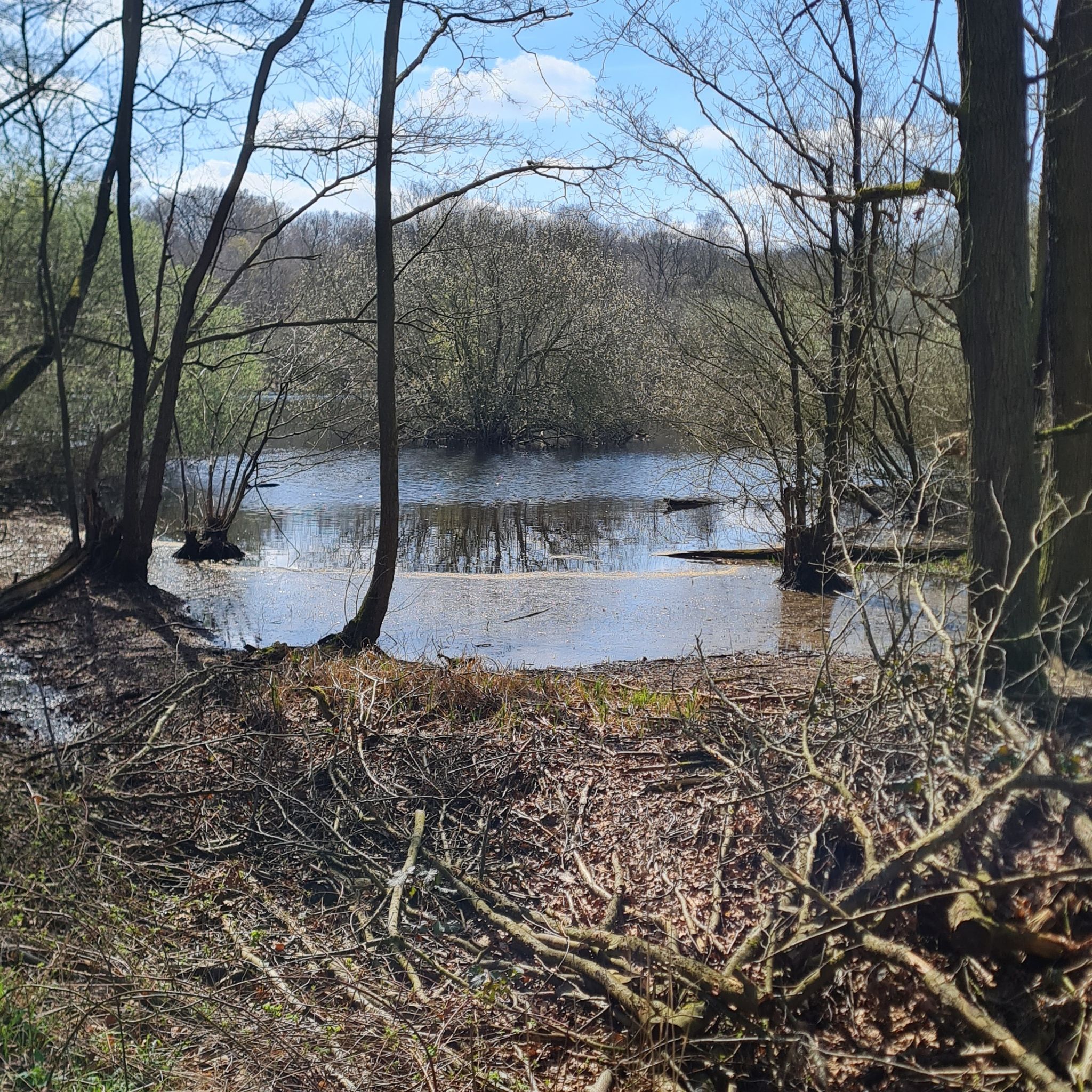 Am Emscherbruch