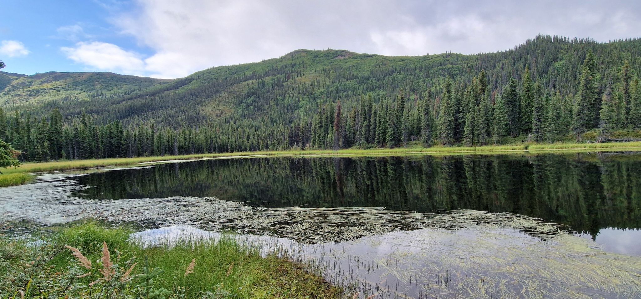 A calm lake reflecting green forested mountains under a partly cloudy sky. - Triple Lakes Trail
