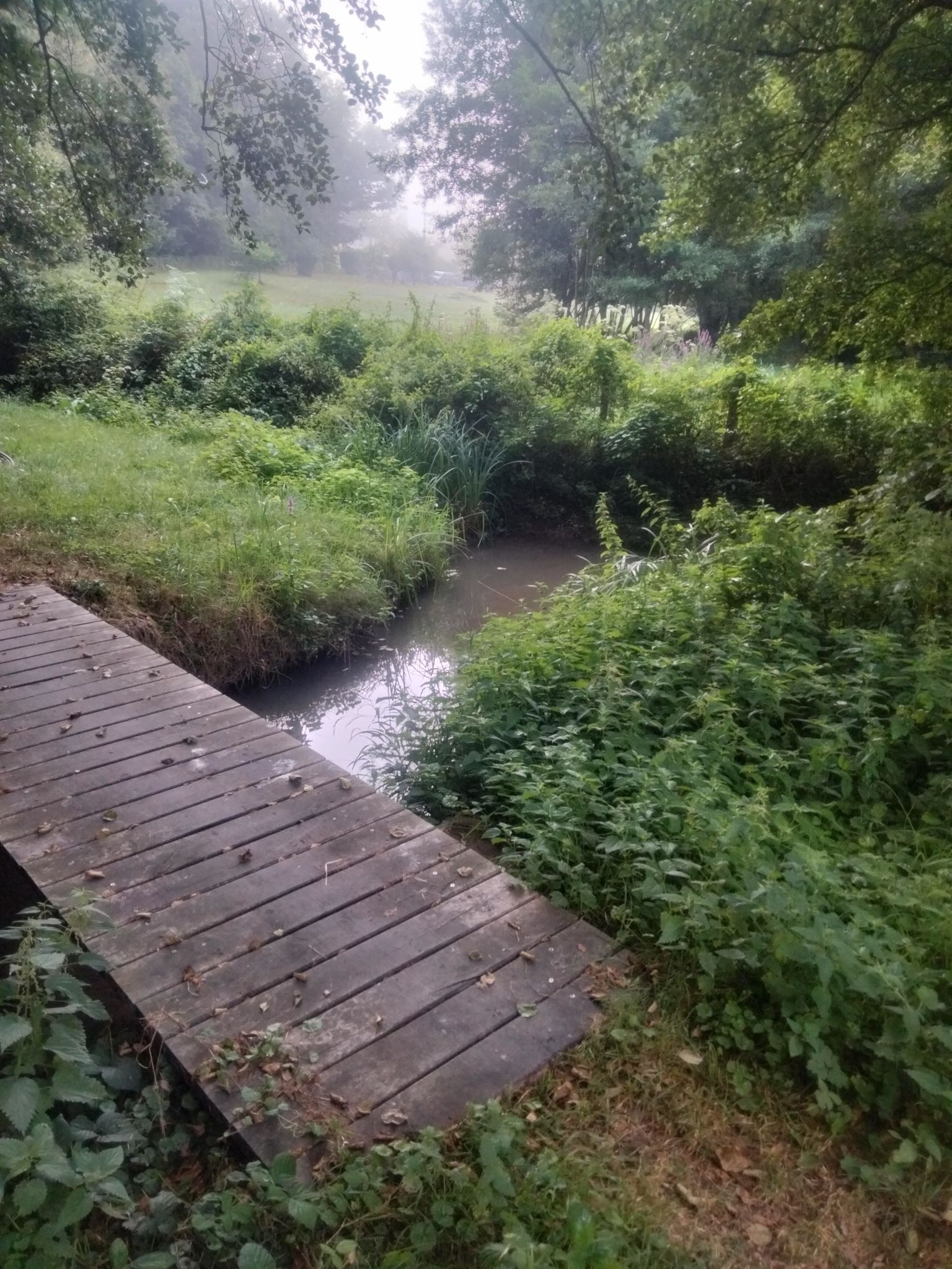 petit pont