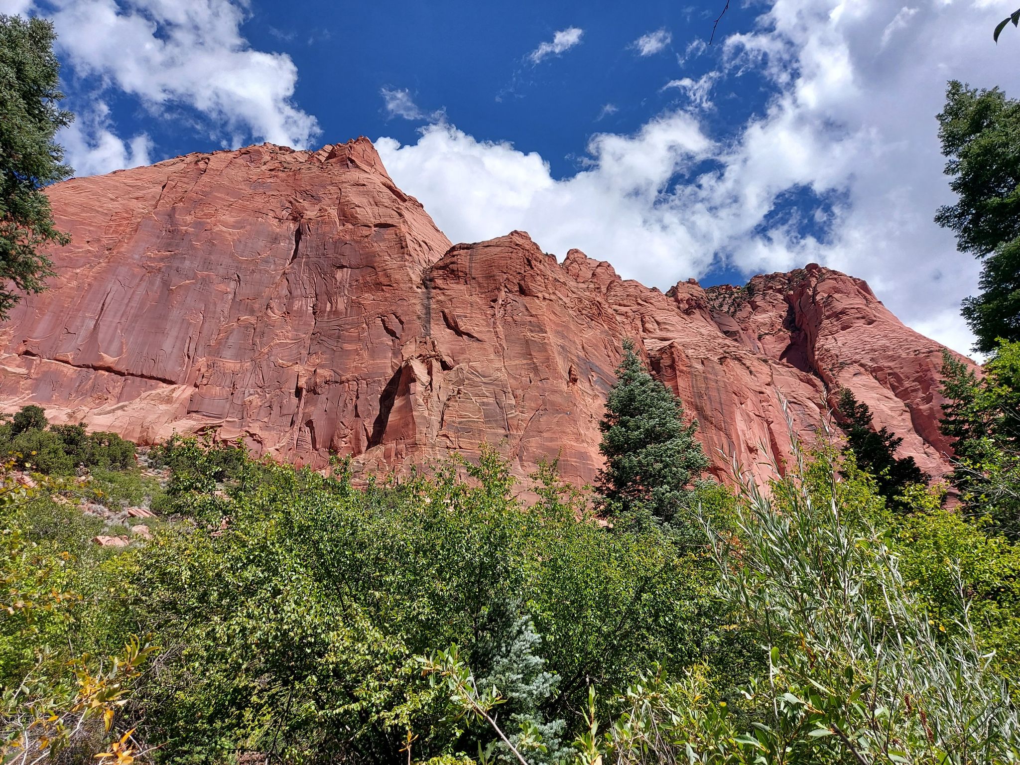 Towering red rock cliffs rise above lush green foliage under a cloudy blue sky. - Taylor Creek Trail