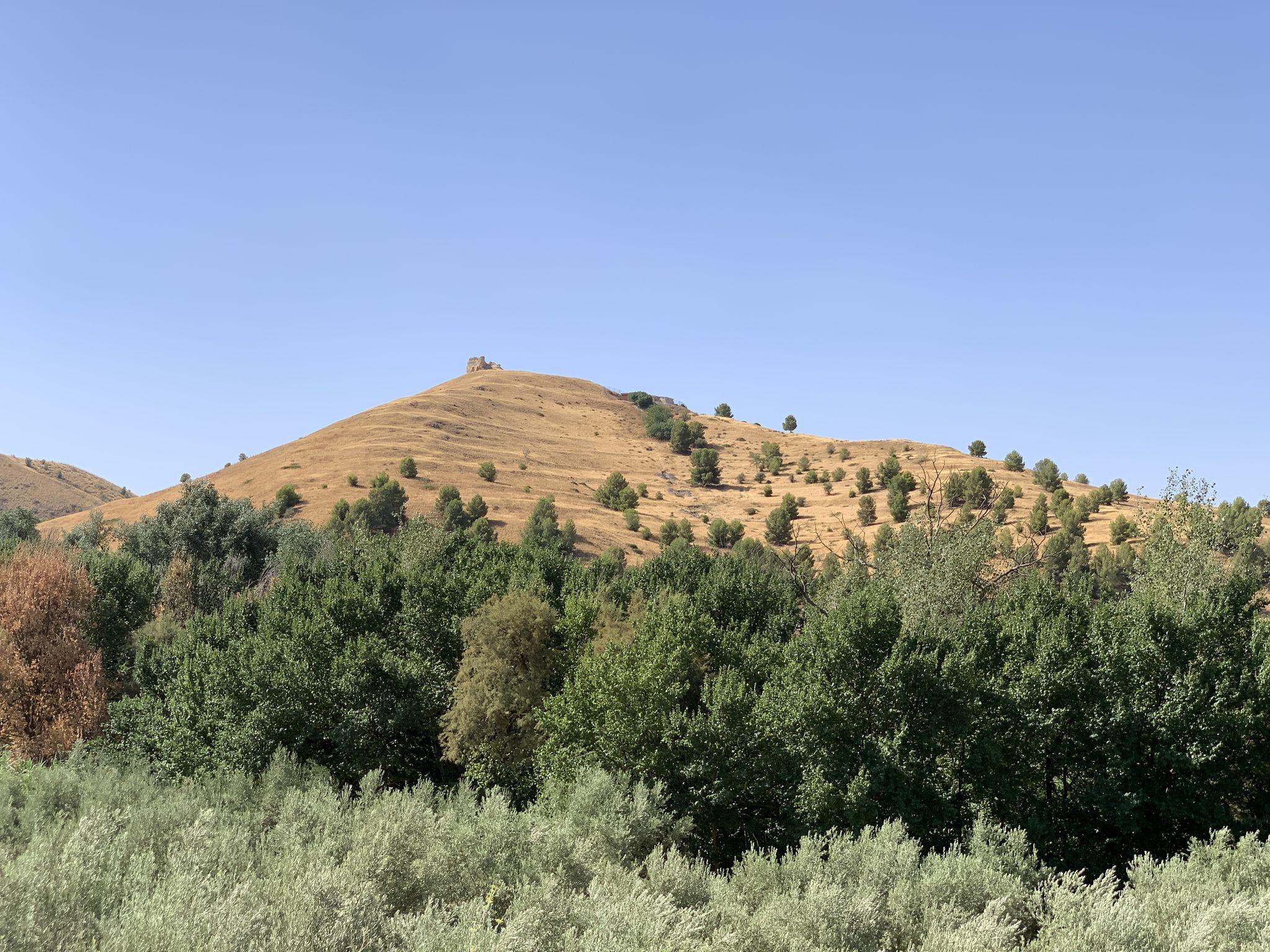 Castillo de Toya