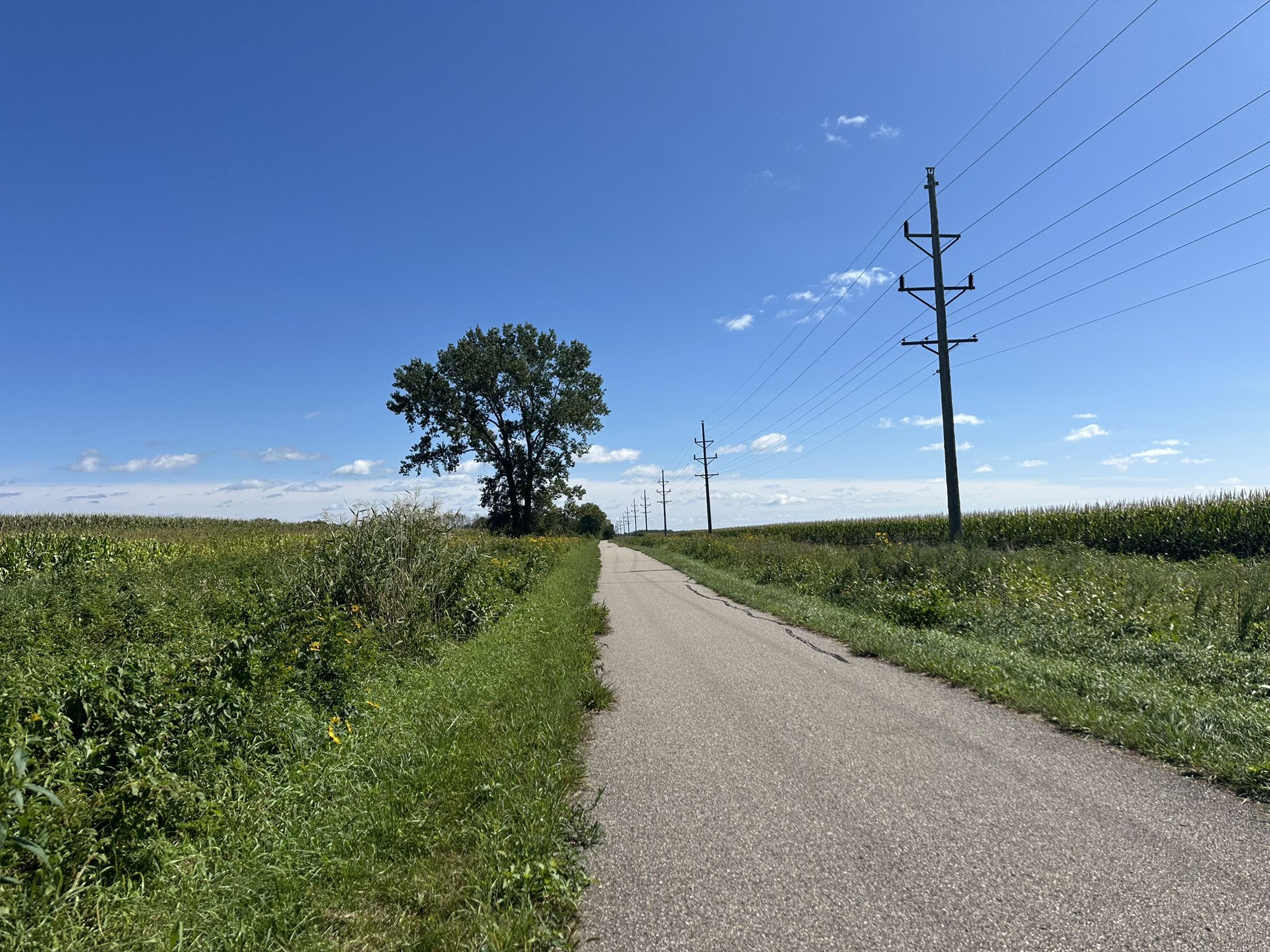 Paved path through fields with power lines under a blue sky. - The Anchor Bar and Grill loop from River Hills Mall