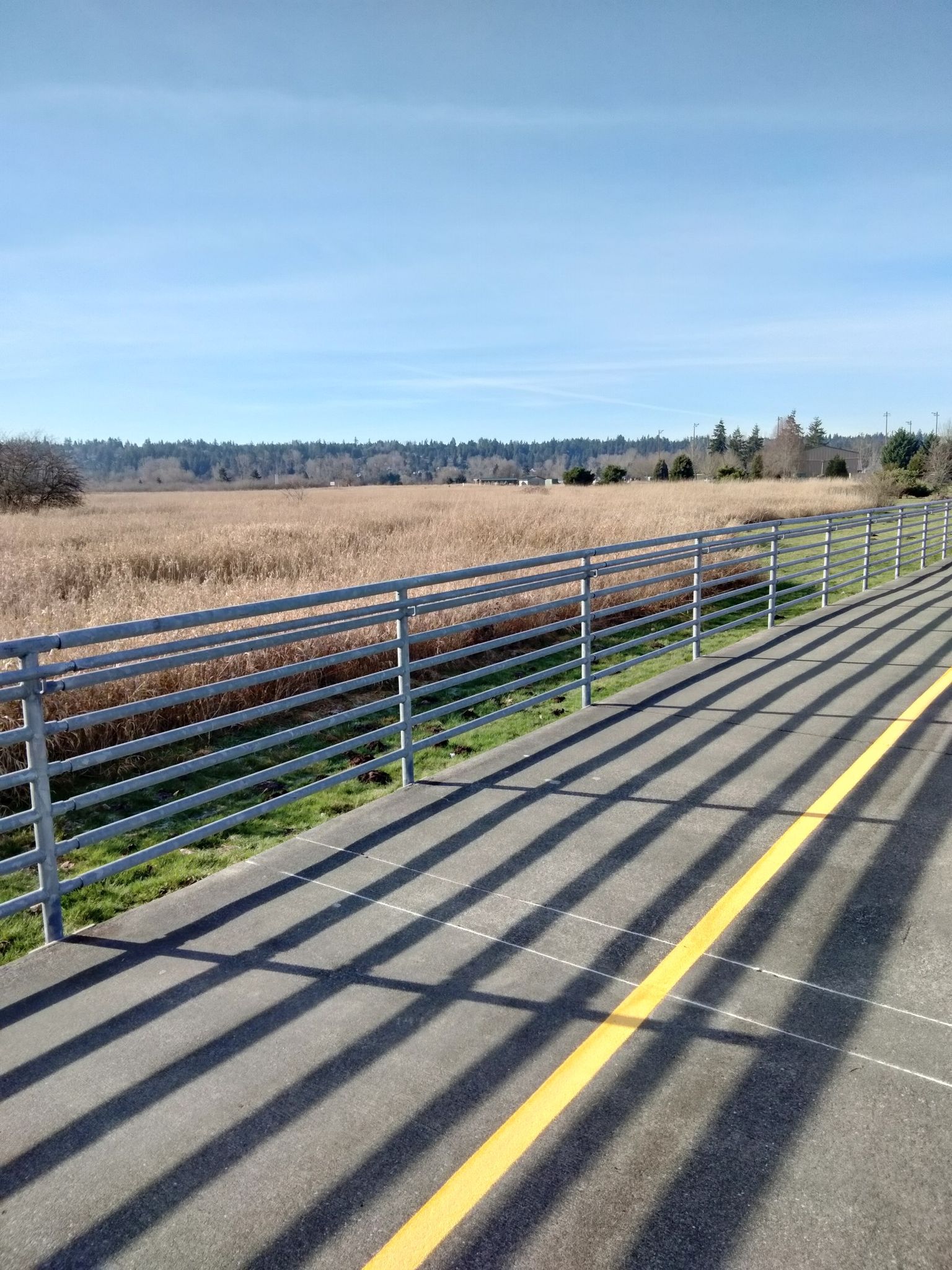 Sunny paved path with strong fence shadows, overlooking a dry grassy field. - Marymoor Connector – Sammamish River loop from Marymoor Park