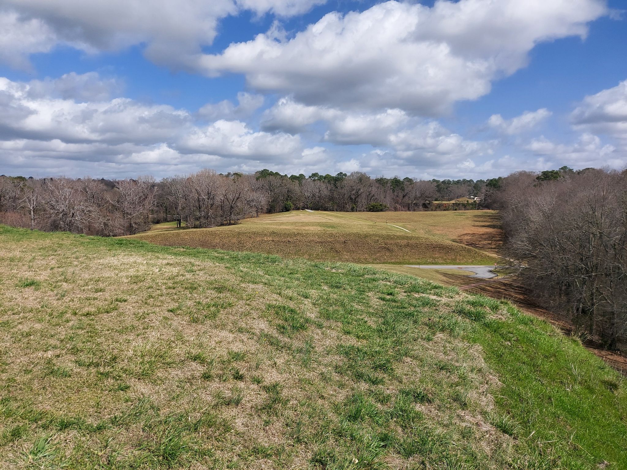 Grassy mounds and distant forest under a bright, cloudy sky. - Great Temple Mound loop from Ocmulgee Mounds National Historical Park