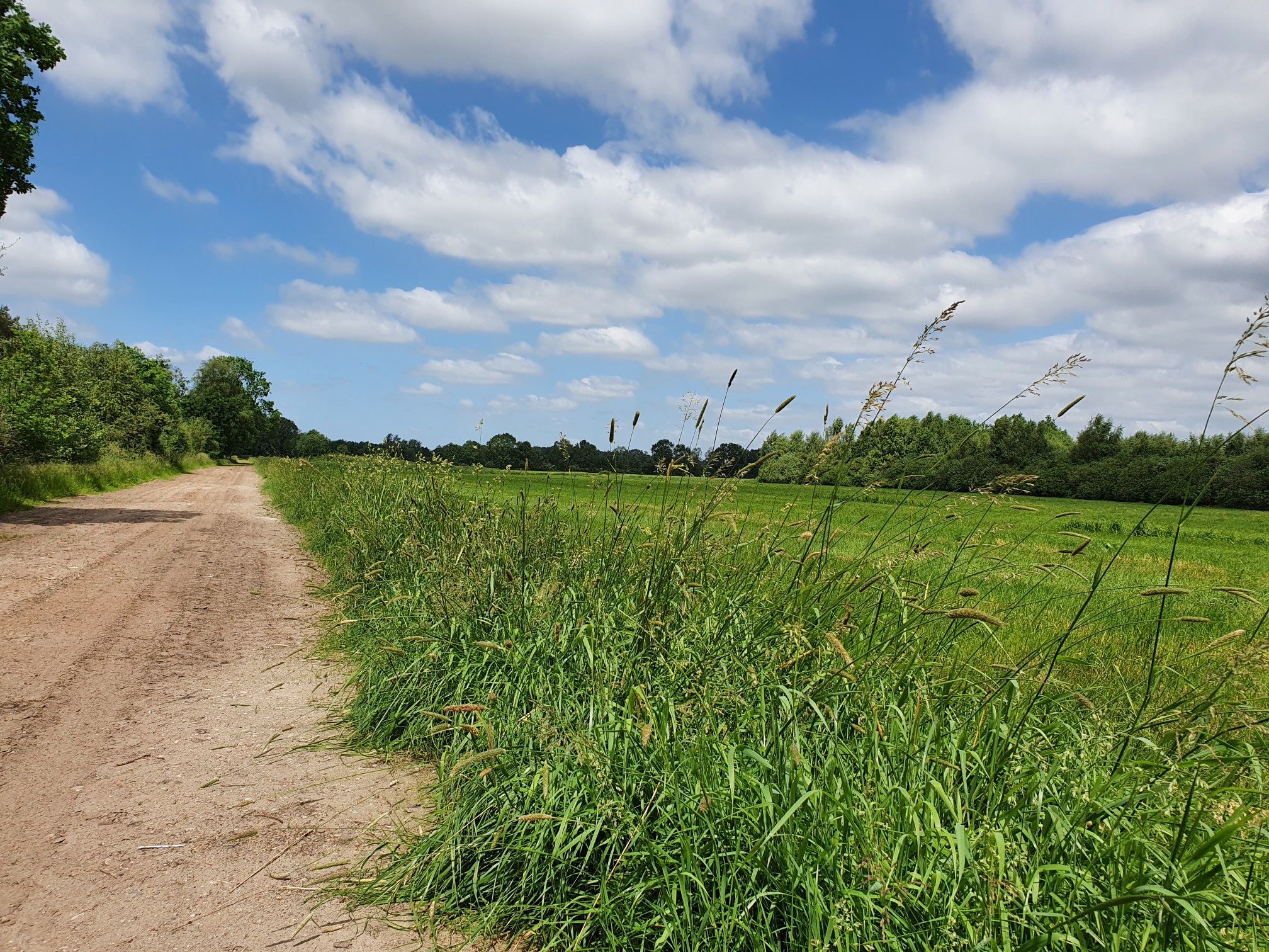 schöner Wanderweg