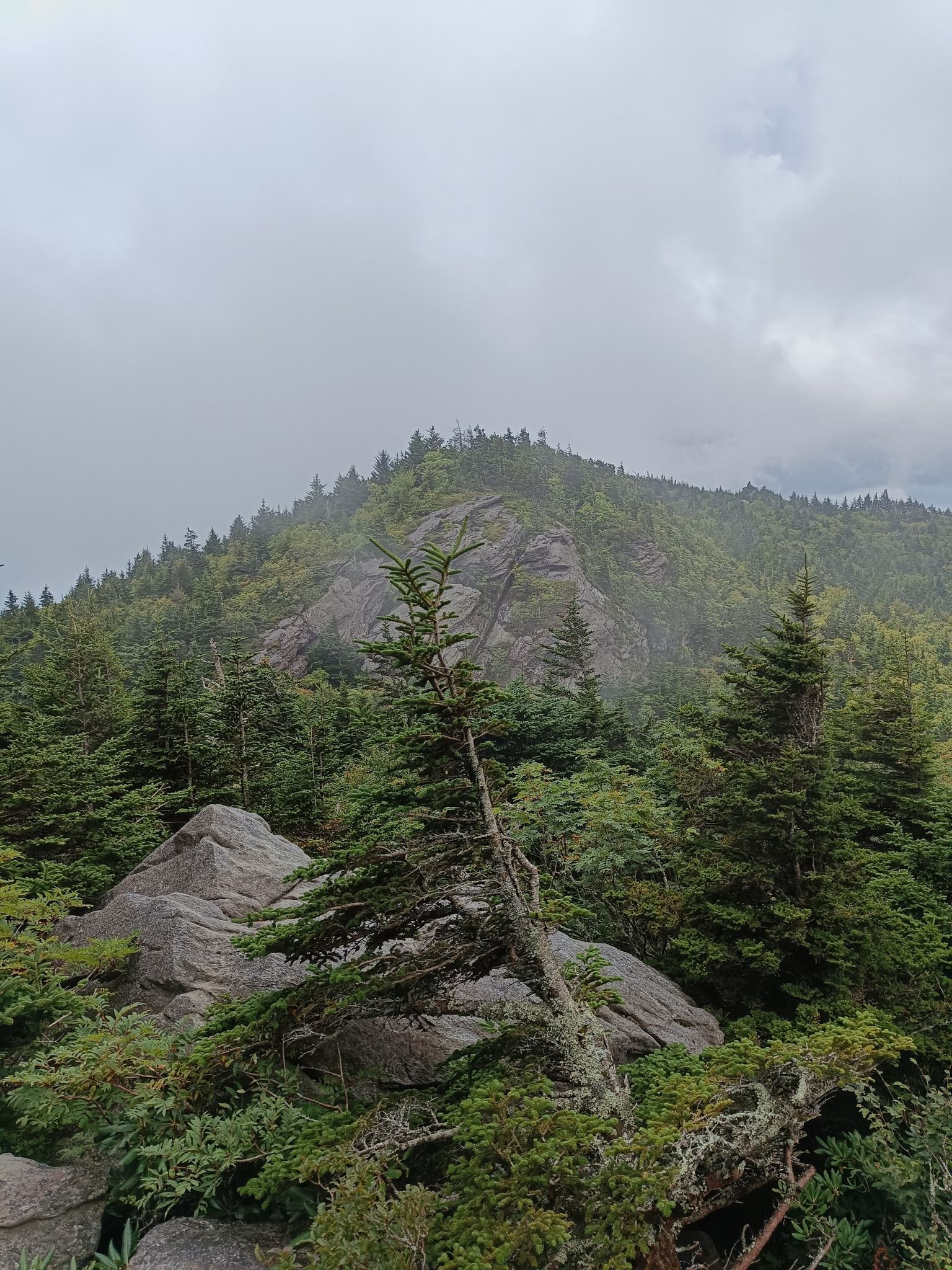 Forested mountain peak with rocky outcrops partially obscured by mist. - View from MacRae Peak loop from Grandfather Mountain
