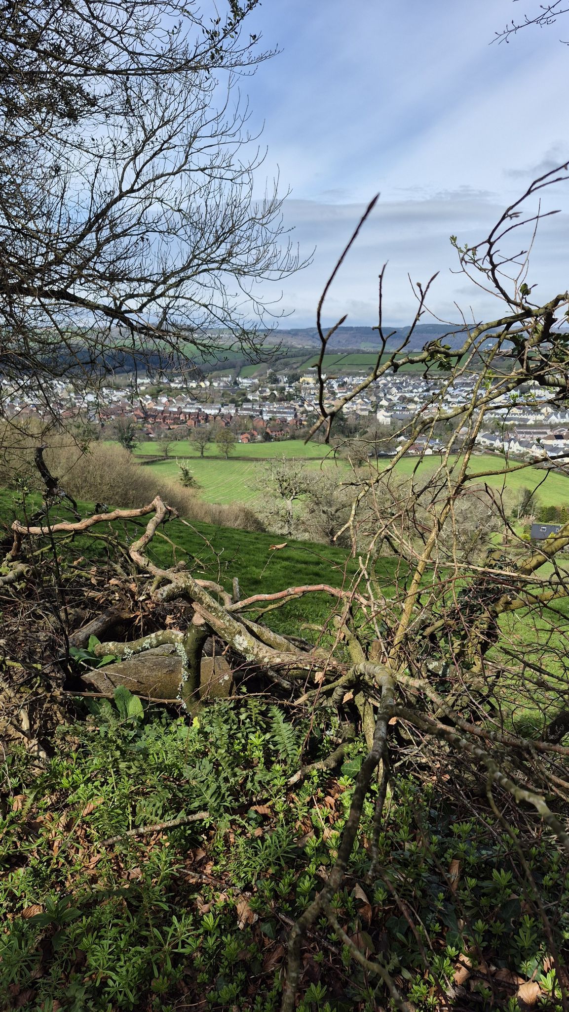 Chudleigh view 