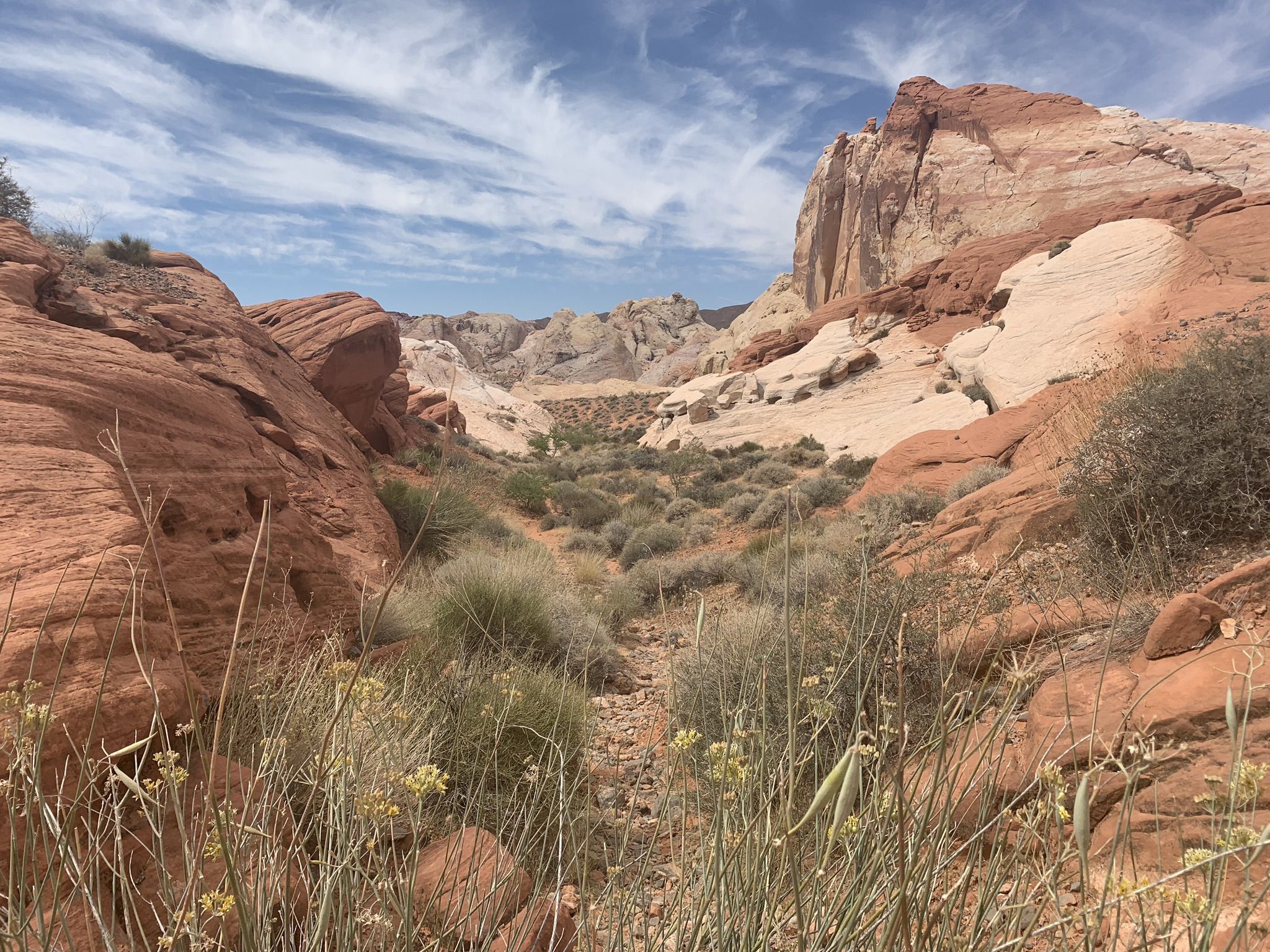 Desert canyon with red and white rock formations, green shrubs, and cloudy sky. - Fire Wave and Seven Wonders Loop