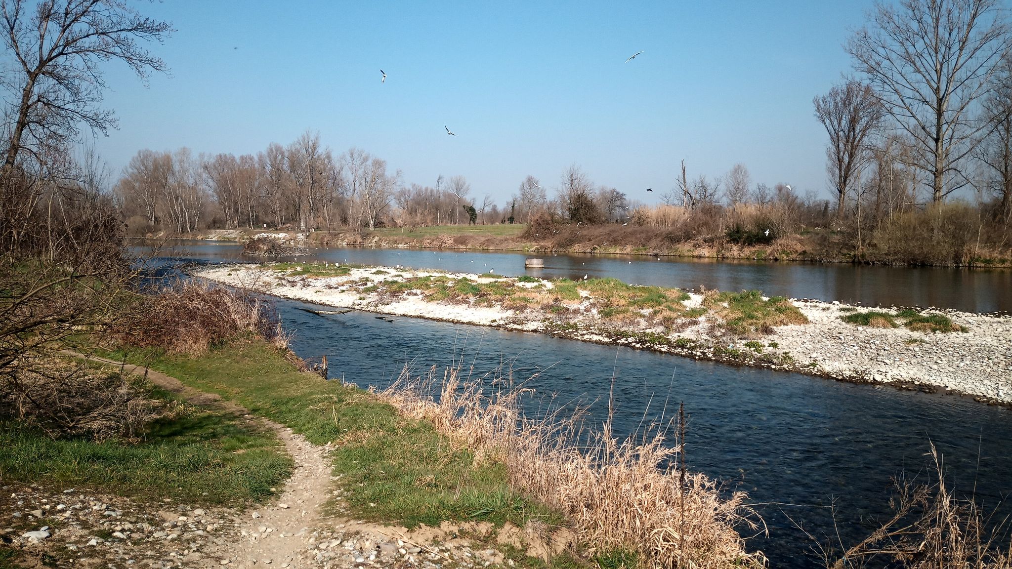 Fiume Oglio