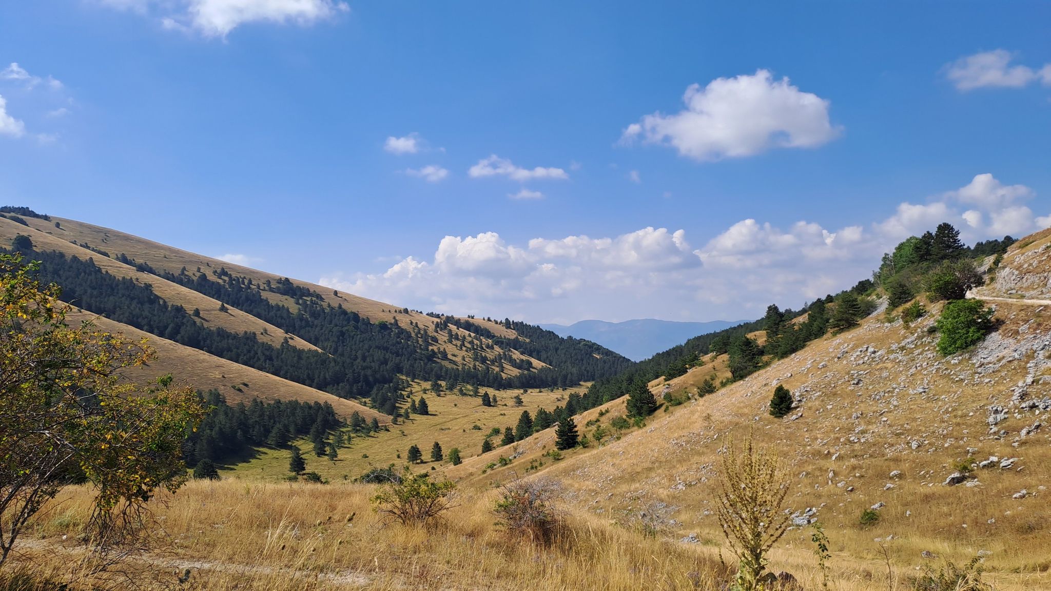 Valle