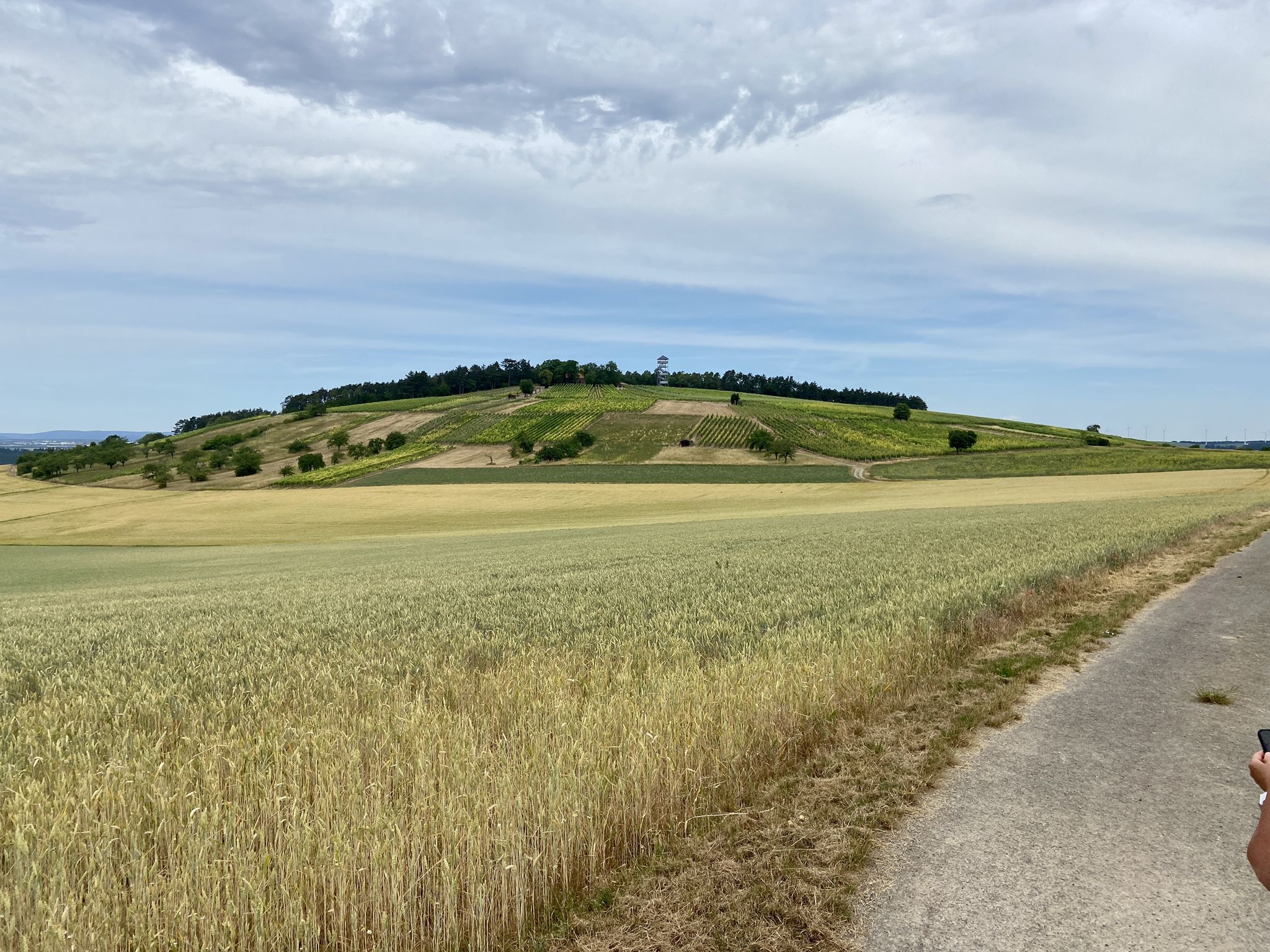 Rückblick zum Aussichtsturm Stahlberg