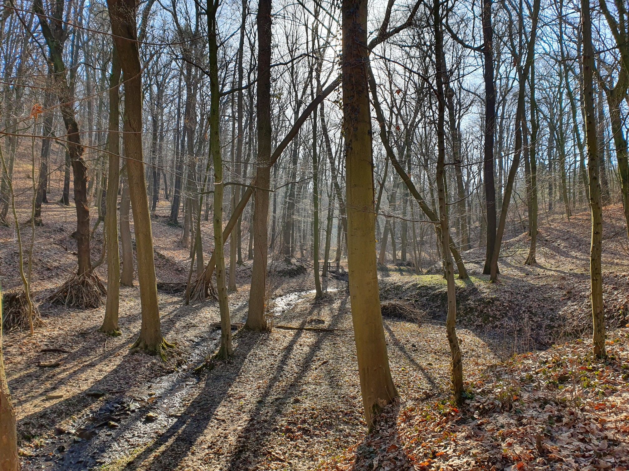 Tal des Knittelholzbaches
