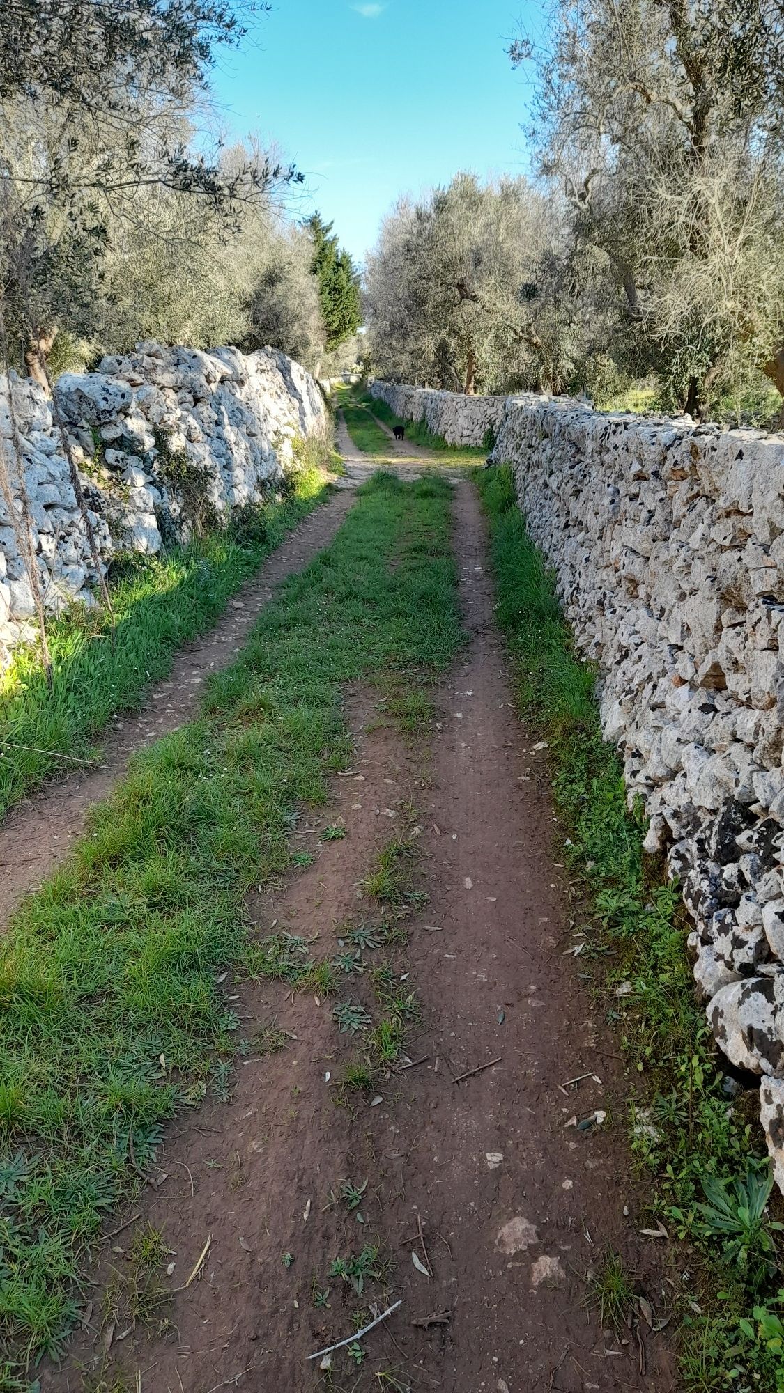  via tra i muri