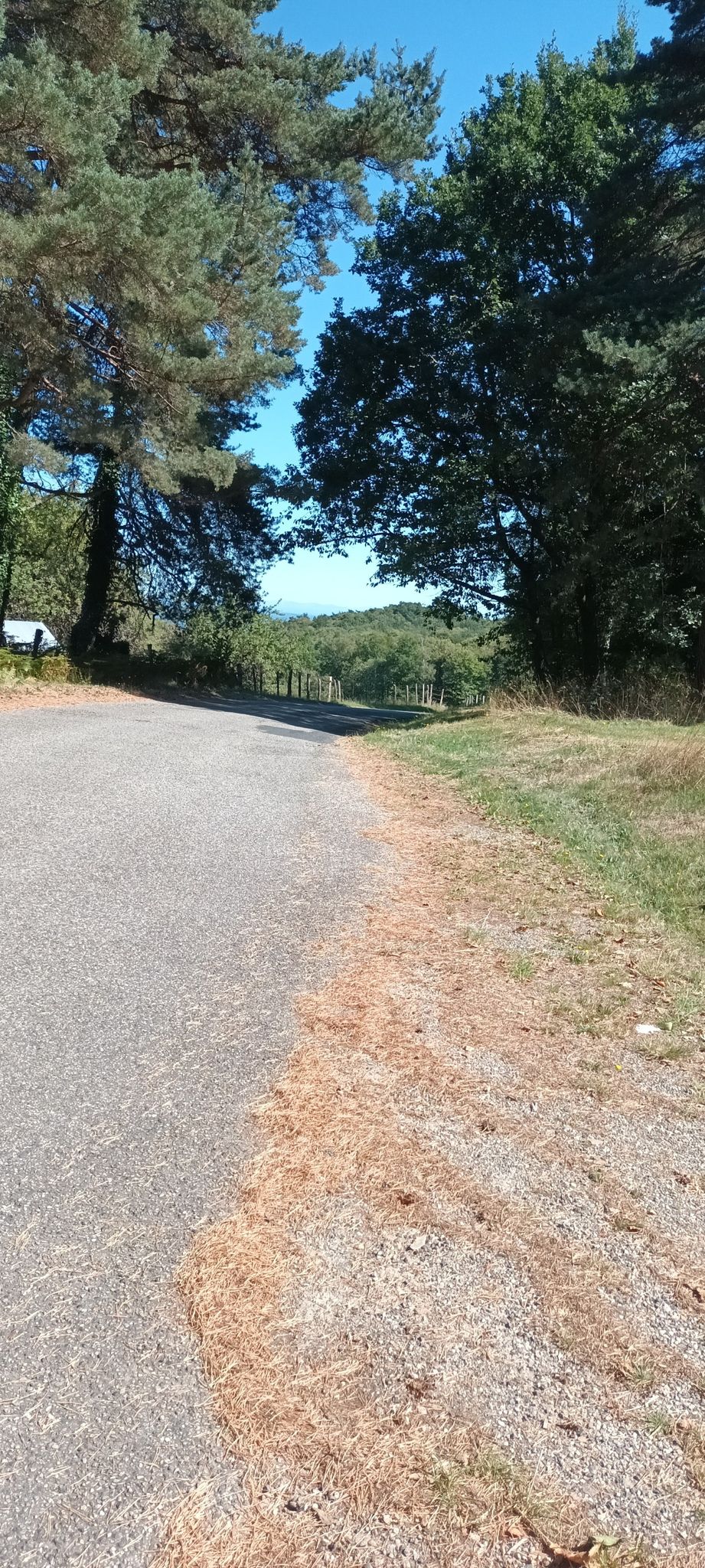 roche de vic