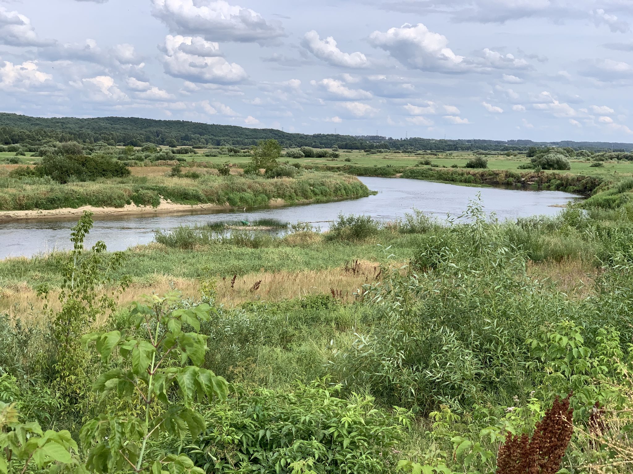 Die Narew mäandert ...