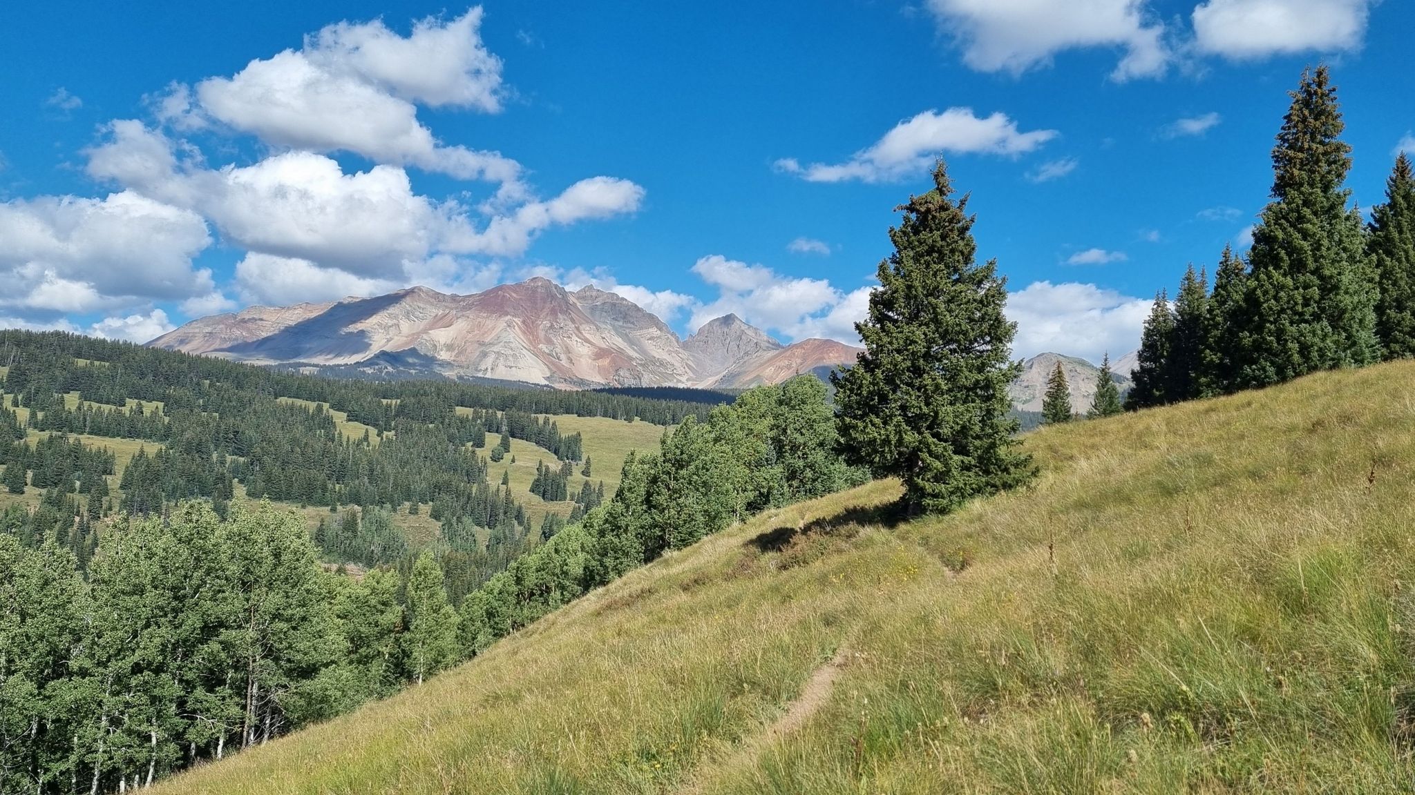 Sunny grassy hillside with scattered trees, overlooking distant mountains under blue sky. - East Fork Trail to Twin Creek