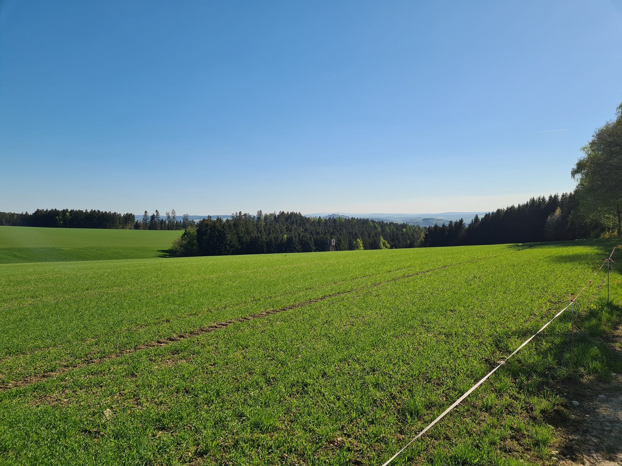 Blick auf die Augustusburg