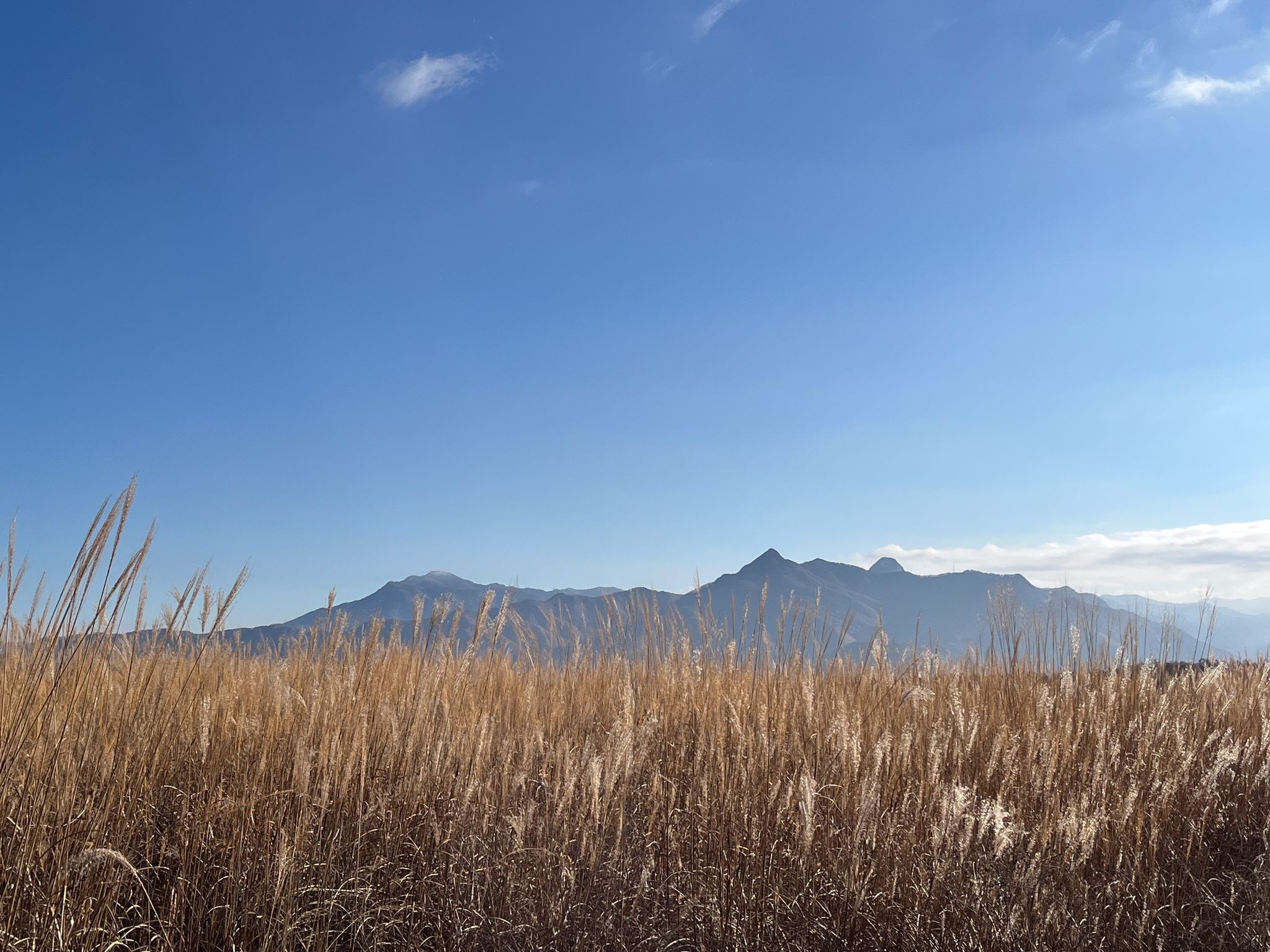 View of Mt.Otokoyama
