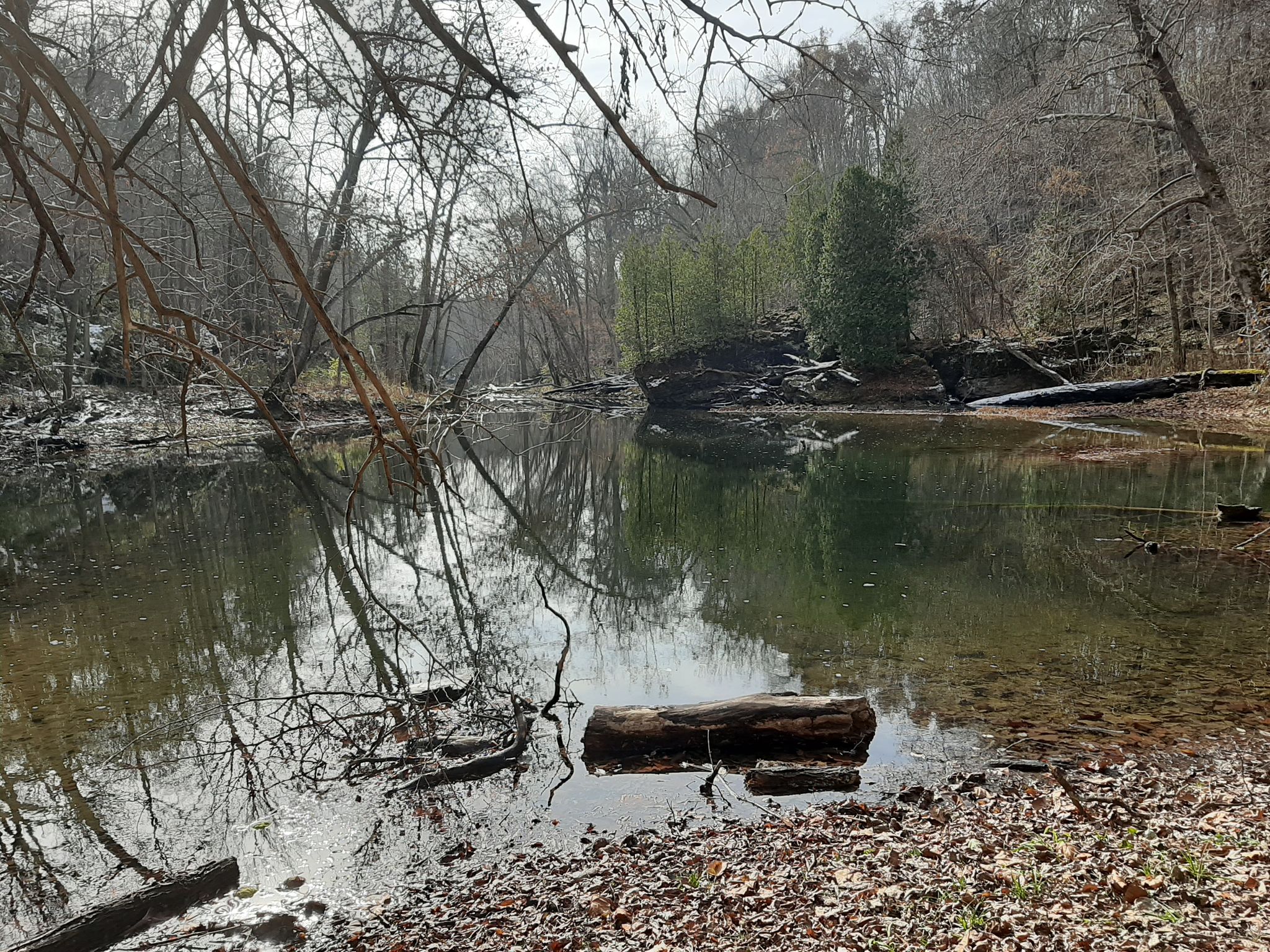 Calm river reflects bare trees under an overcast sky, with a log. - Glen Helen, Little Miami & Clifton Gorge