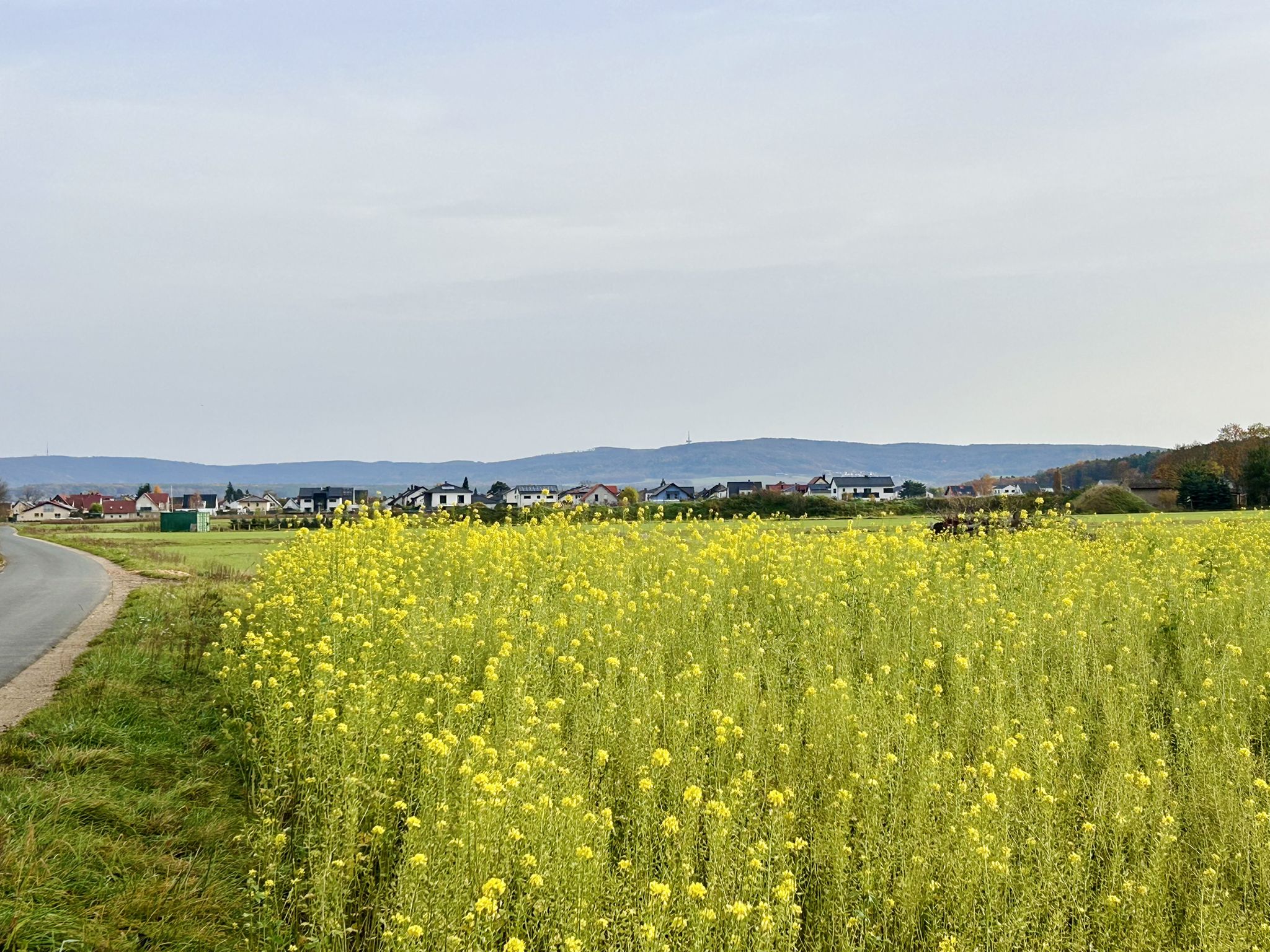 Blick über Pettstadt zum fränkischen Jura
