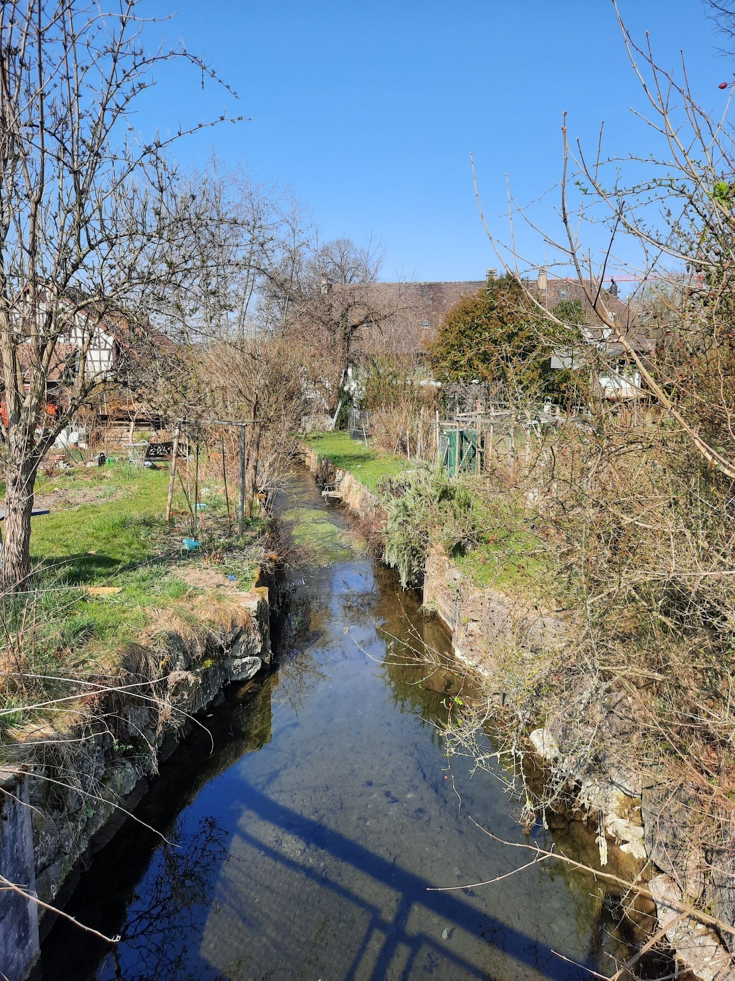 Eulach in Hegi