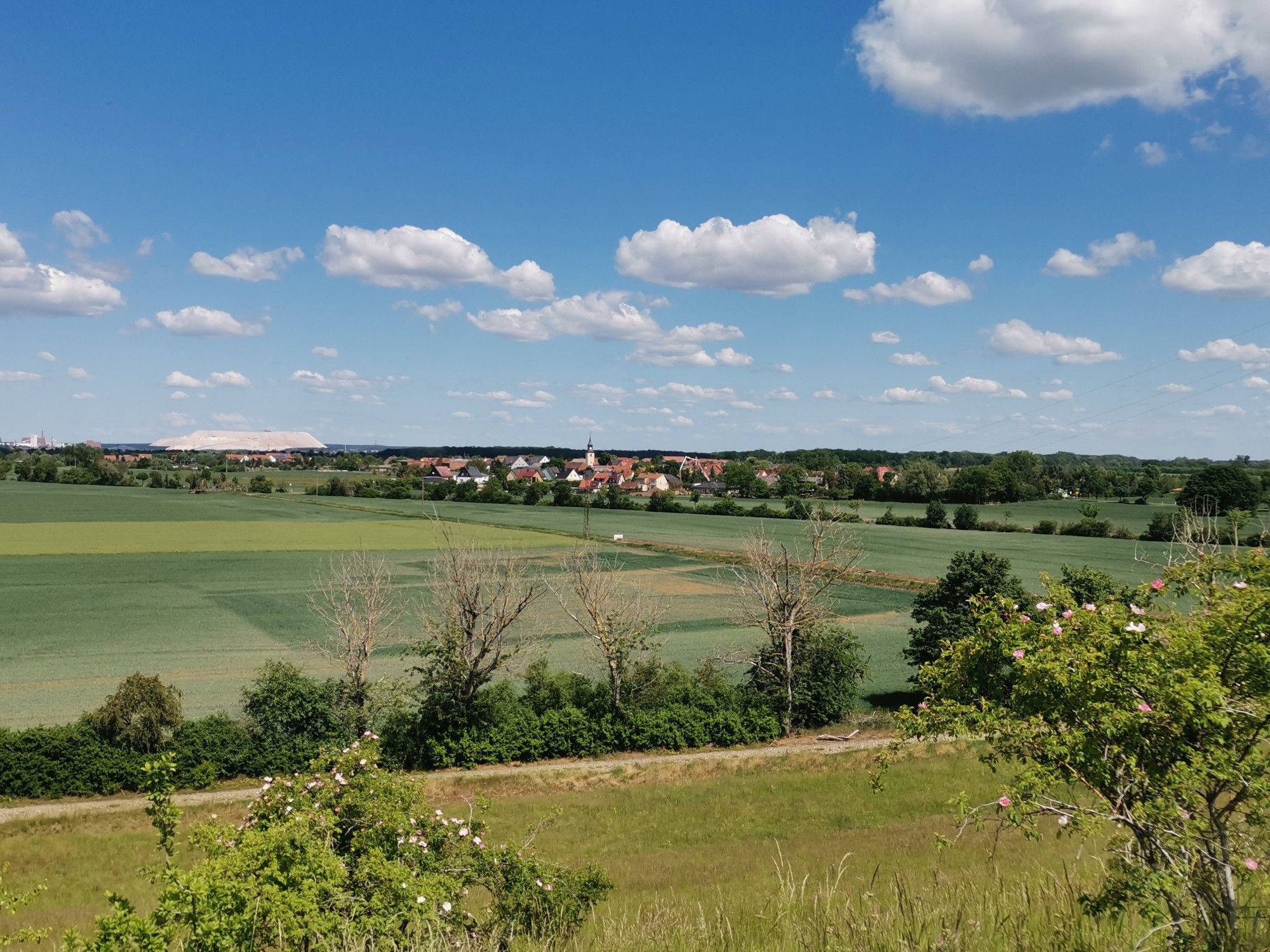 Kalimanscharo Zielitz