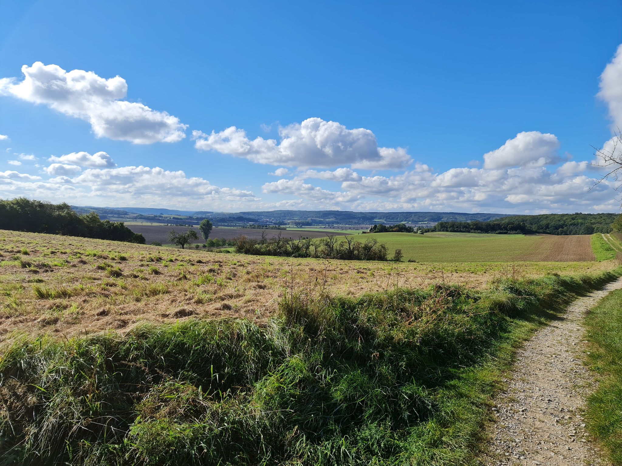 Blick vom Rastplatz Richtung Unstruttal